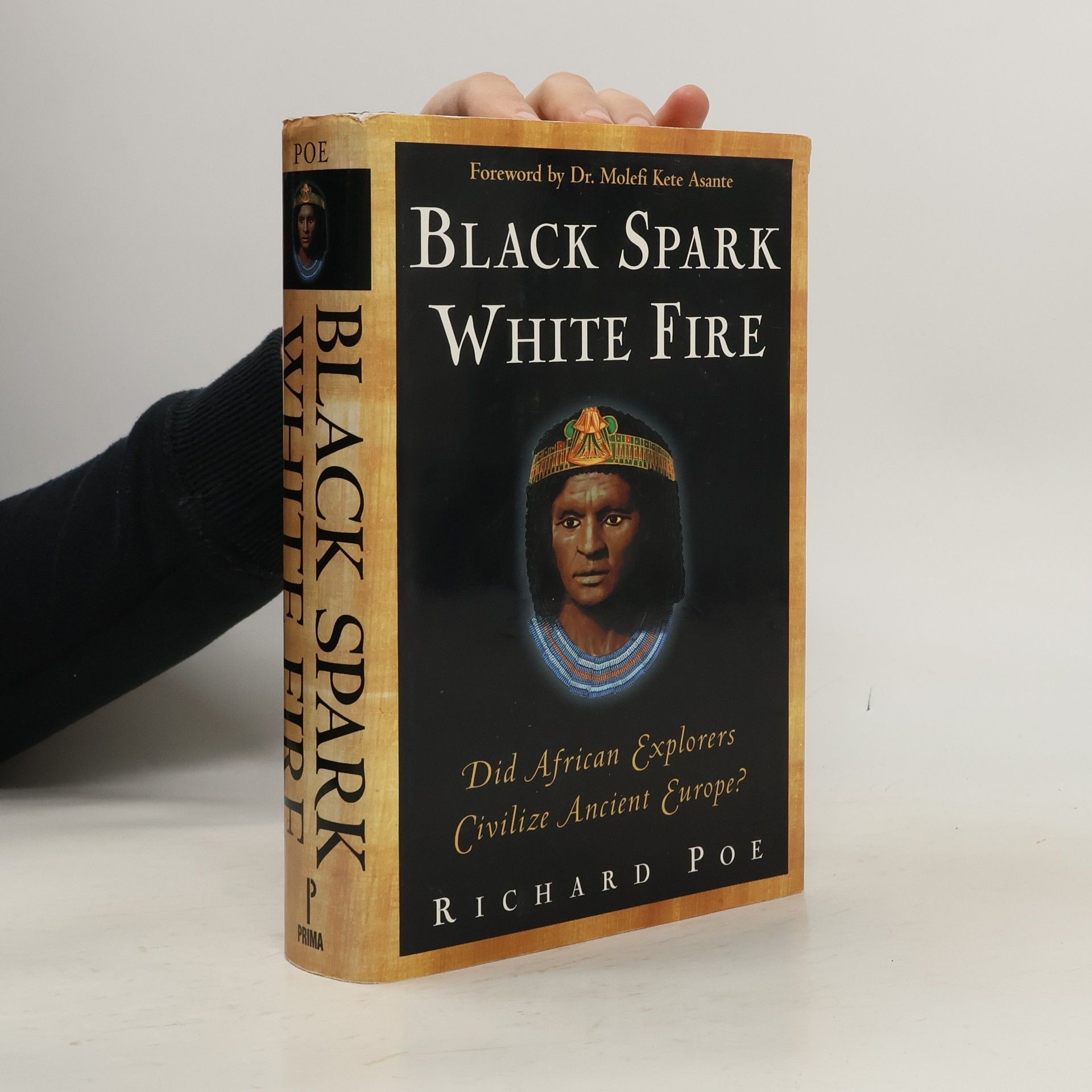 Richard Poe Black Spark, White Fire