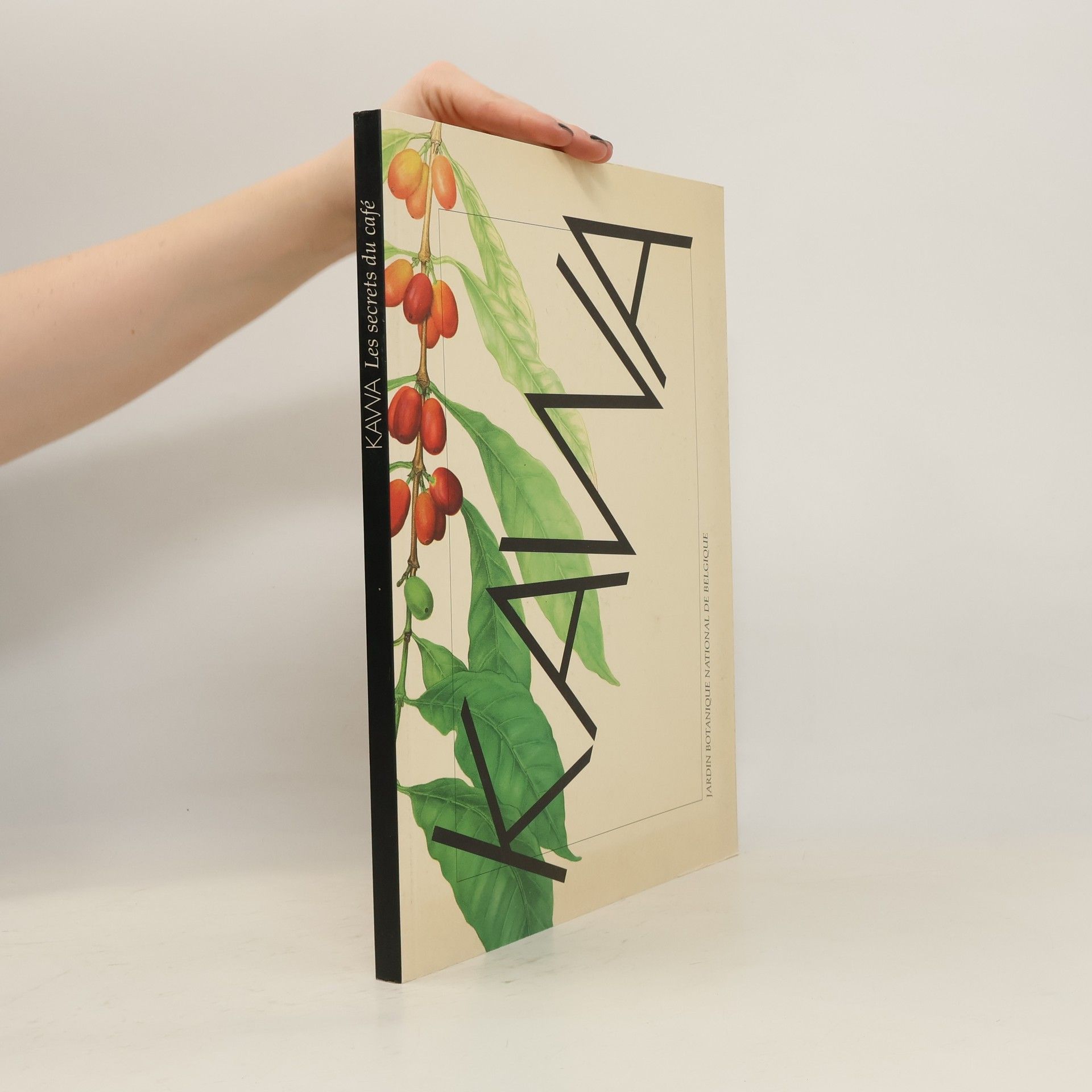 Elmar Robbrecht Kawa