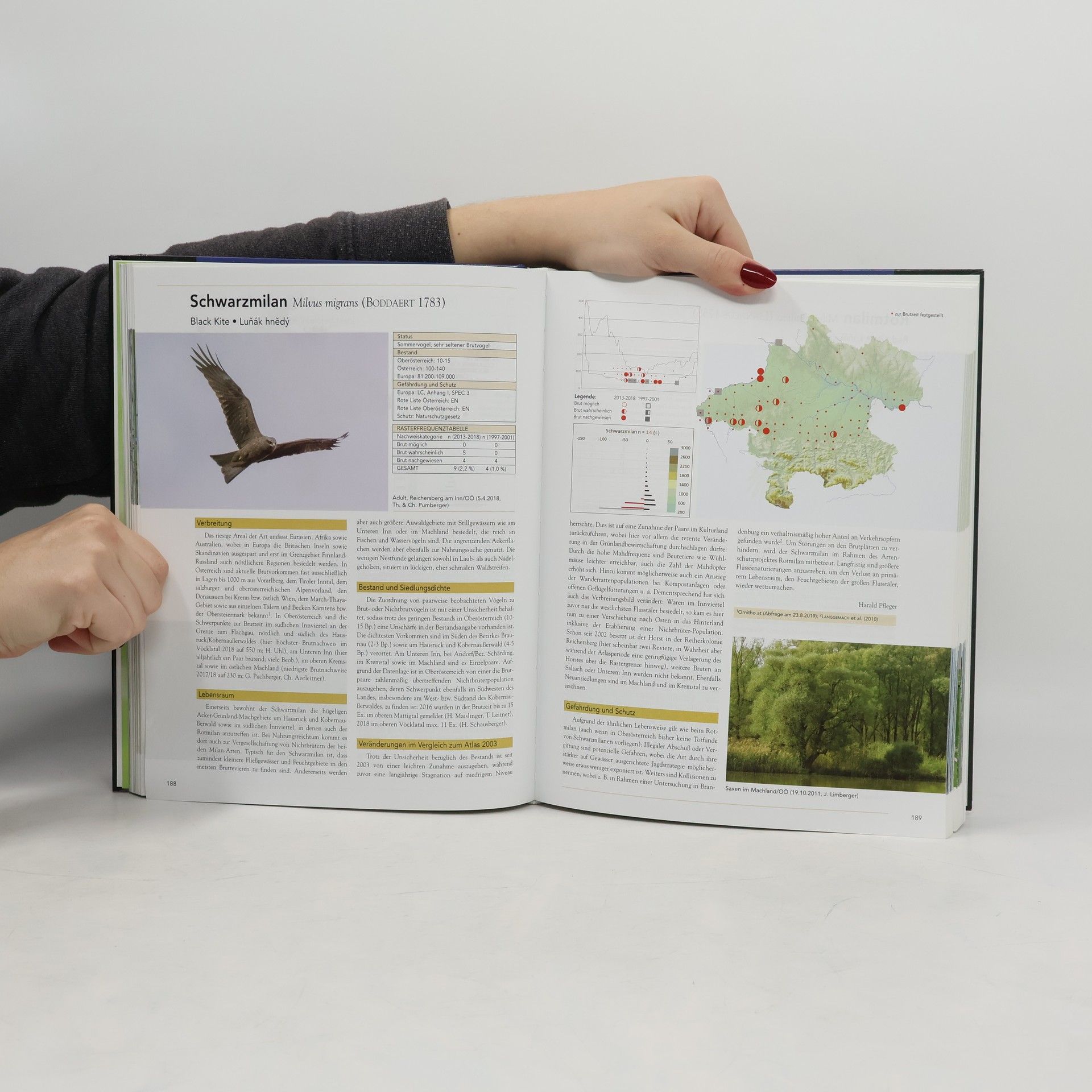 Denisia - 44: Atlas der Brutvögel Oberösterreichs 2013-2018