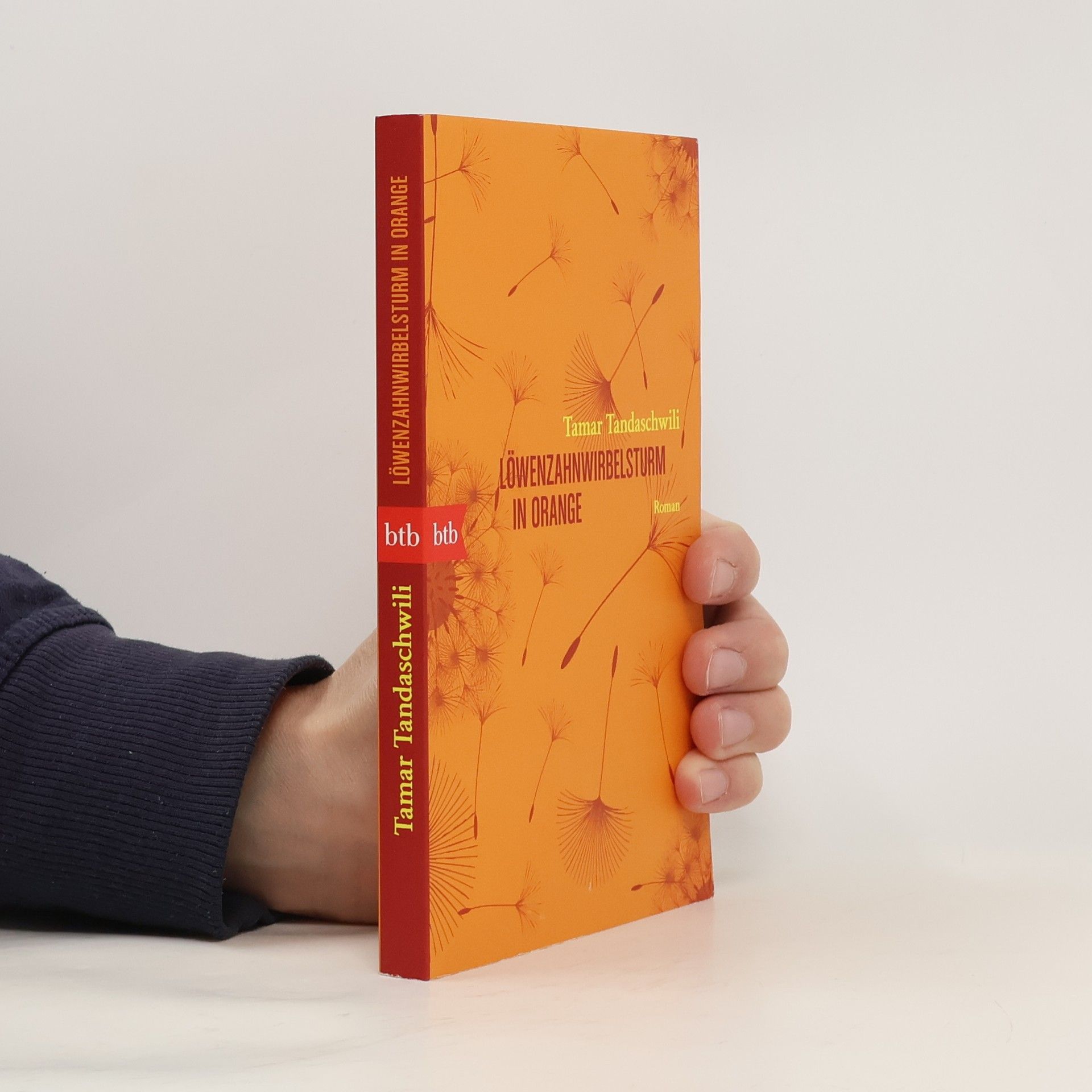 Tamar Tandaschwili Löwenzahnwirbelsturm in Orange