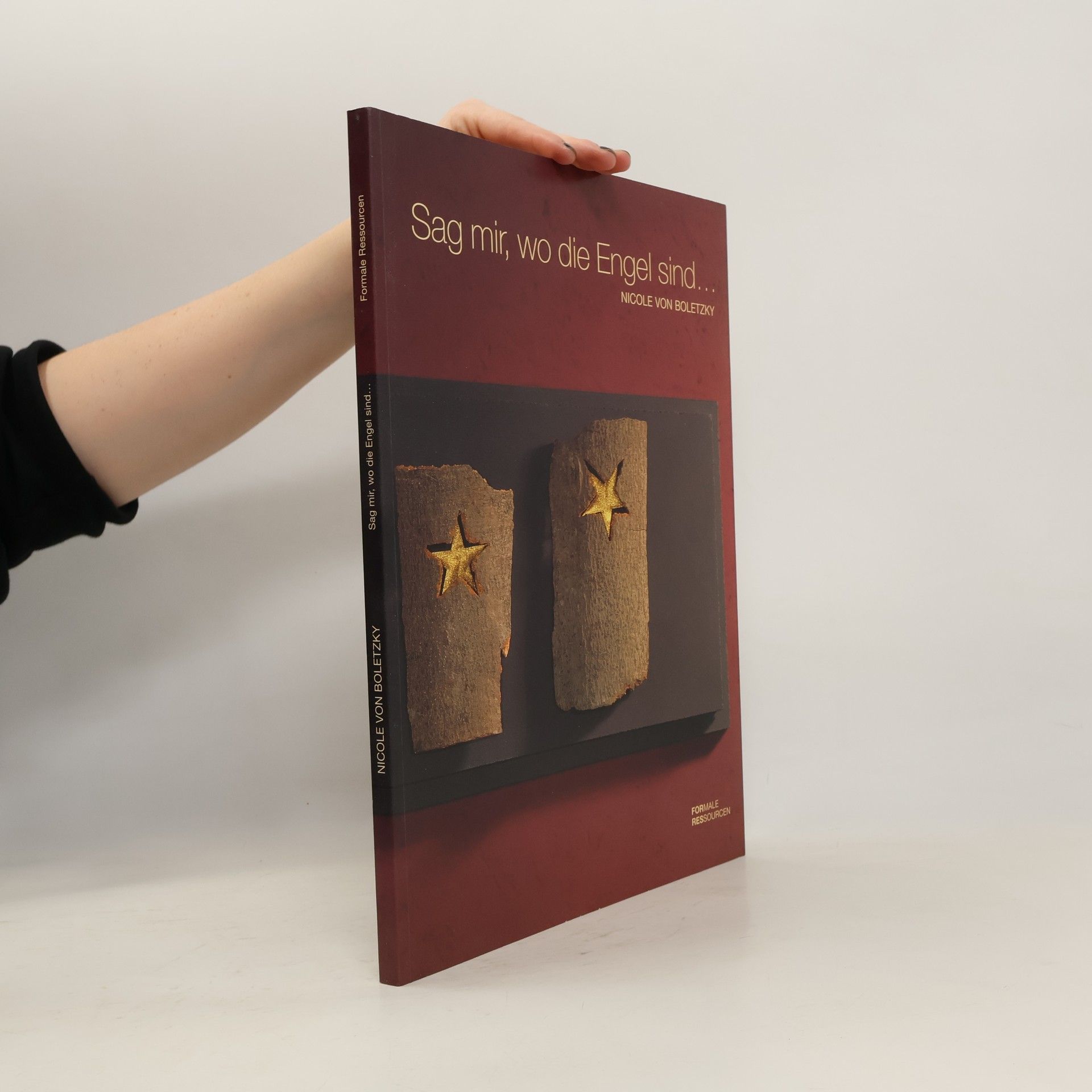 Sag mir, wo die Engel sind