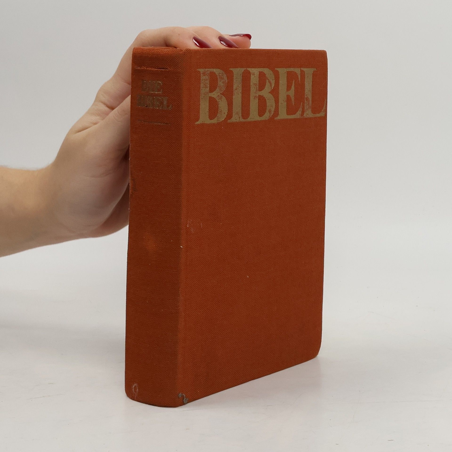 AA.VV. Bibel