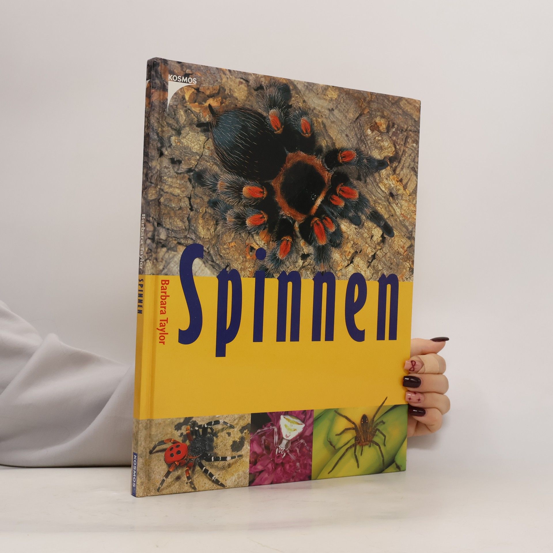 Barbara Taylor Bradford Spinnen