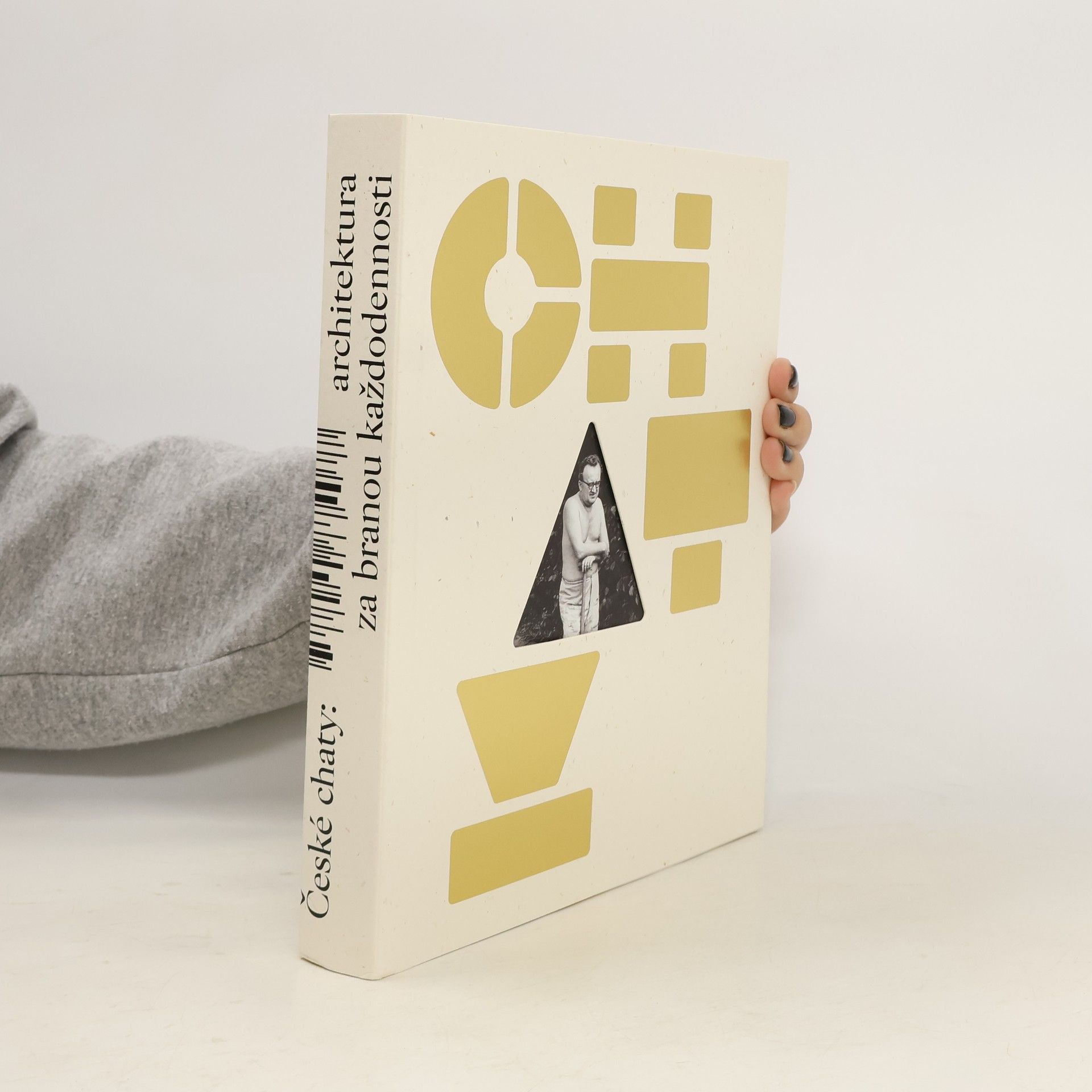 Dana Fialová České chaty. Architektura za branou každodennosti