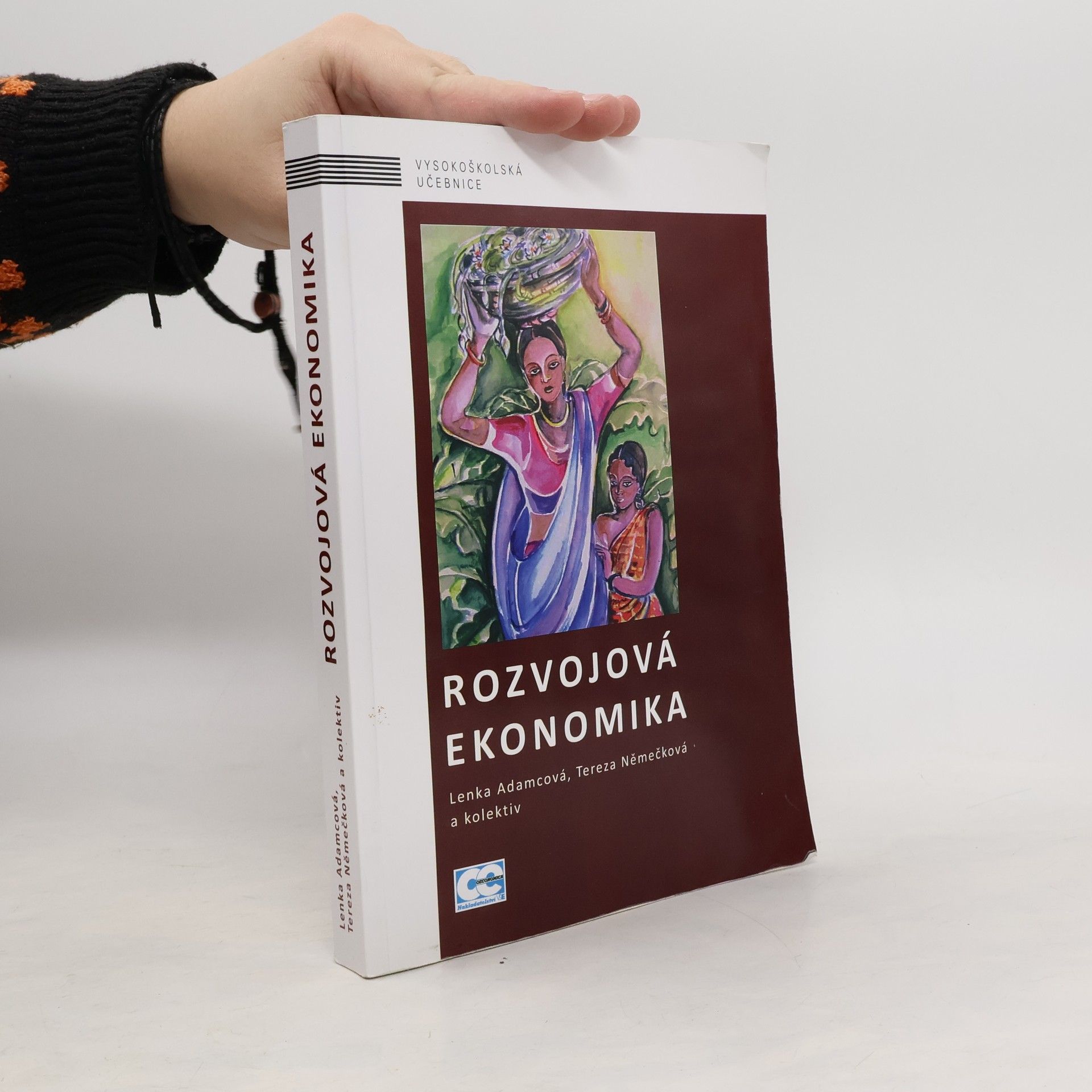 Rozvojová ekonomika