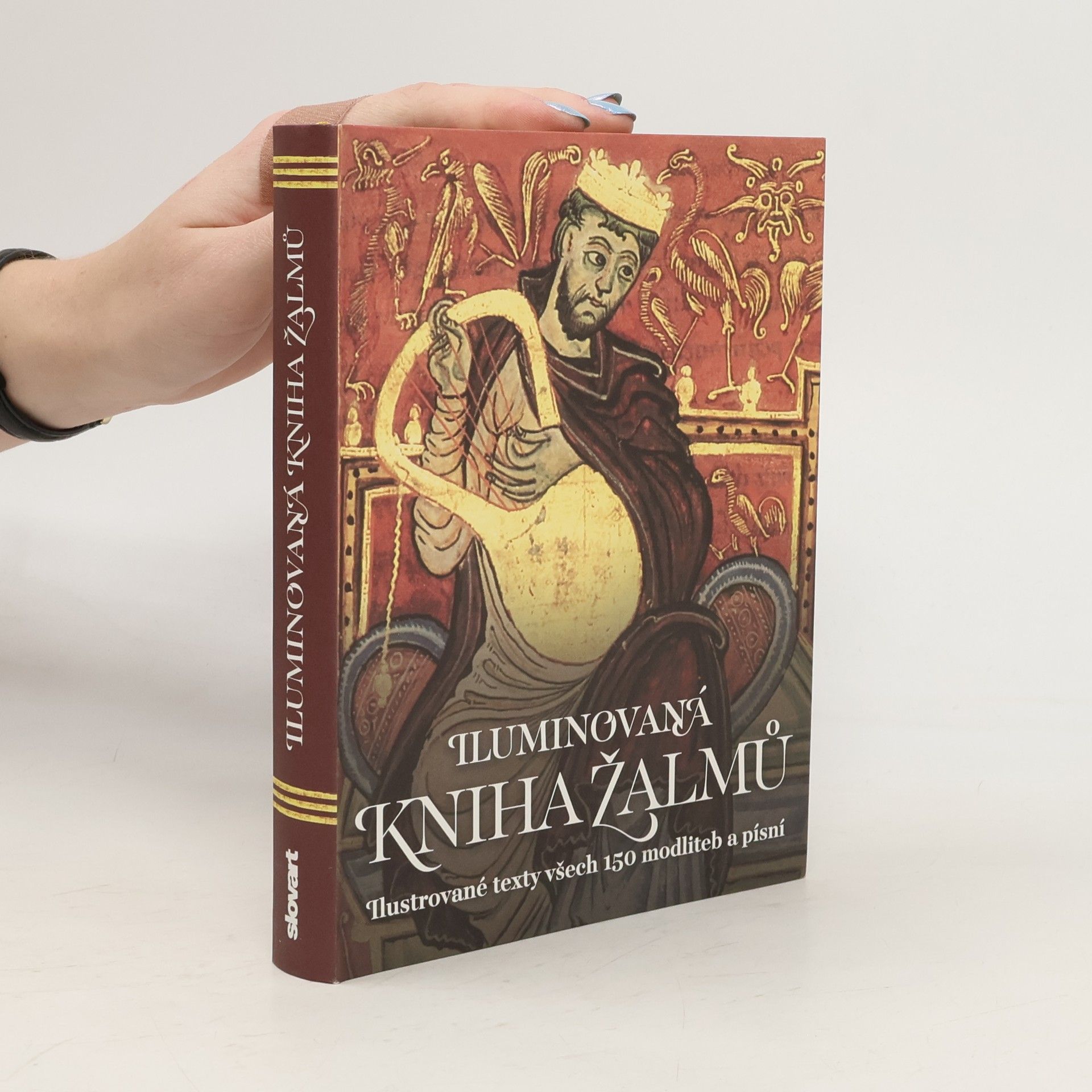 Kolektiv autorů Iluminovaná kniha Žalmů