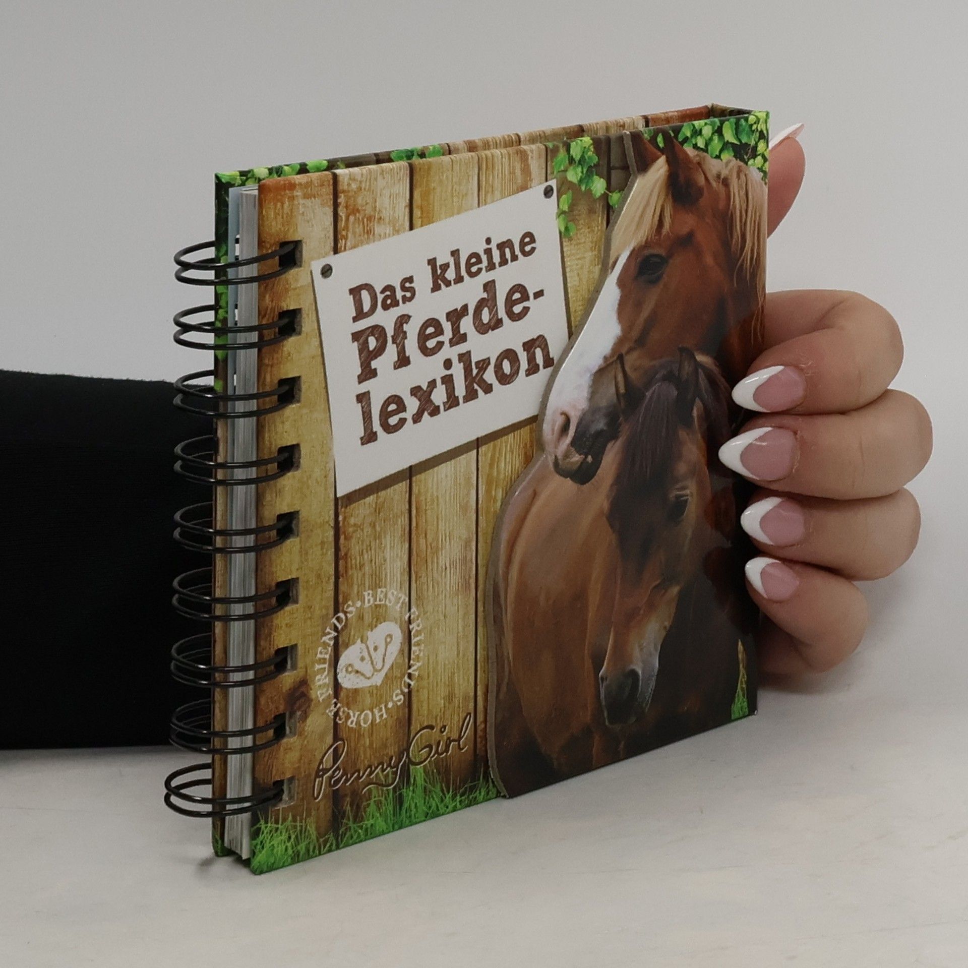 Das kleine Pferdelexikon