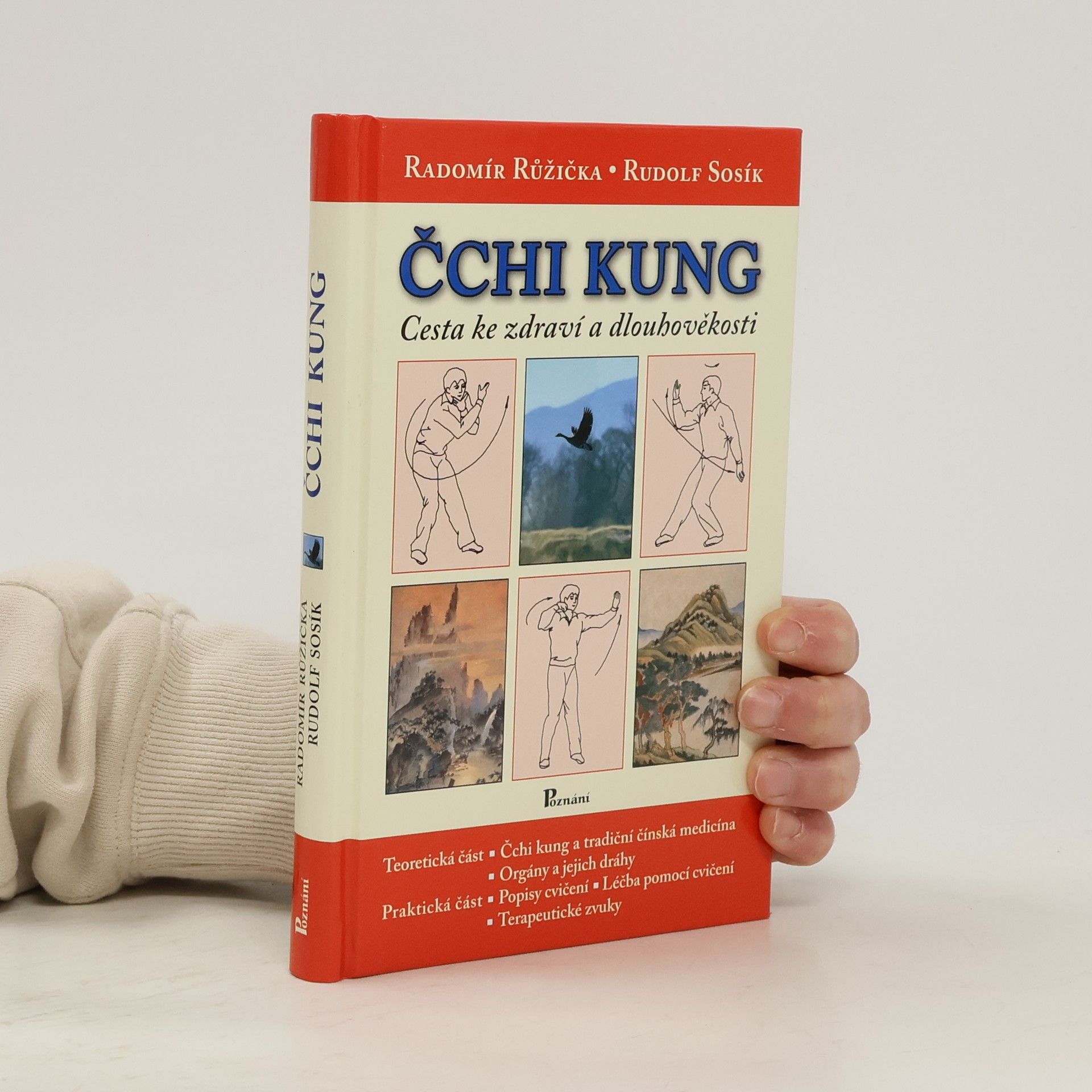Radomír Růžička Čchi kung. Cesta ke zdraví a dlouhověkosti