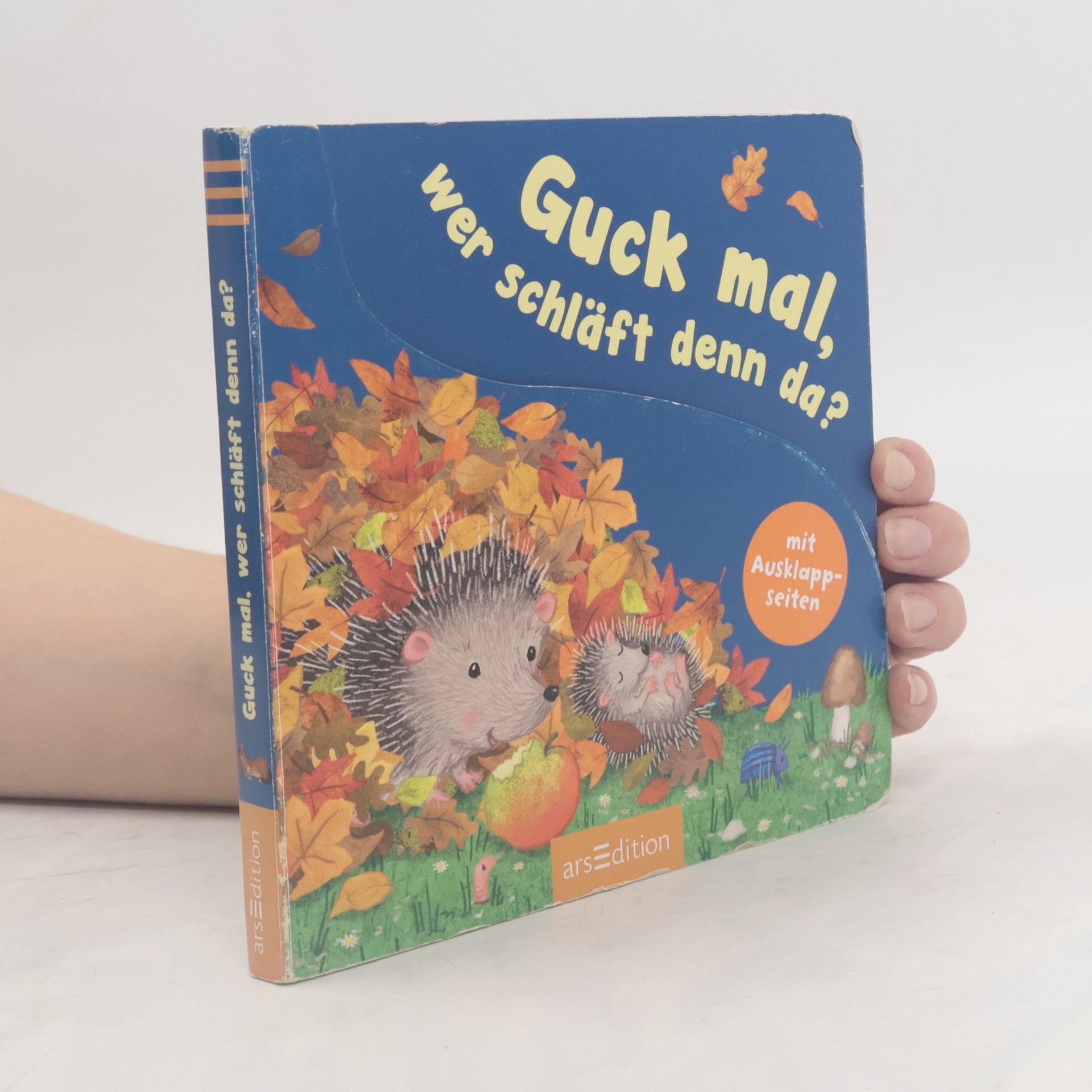 Sharon Harmer Guck mal, wer schläft denn da?