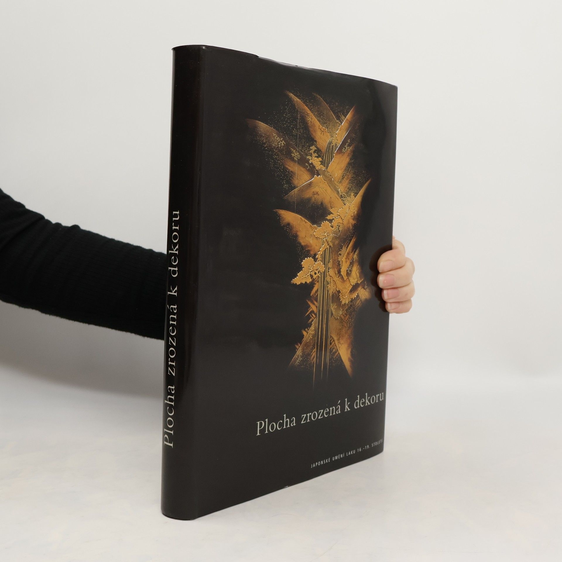 Filip Suchomel Plocha zrozená k dekoru