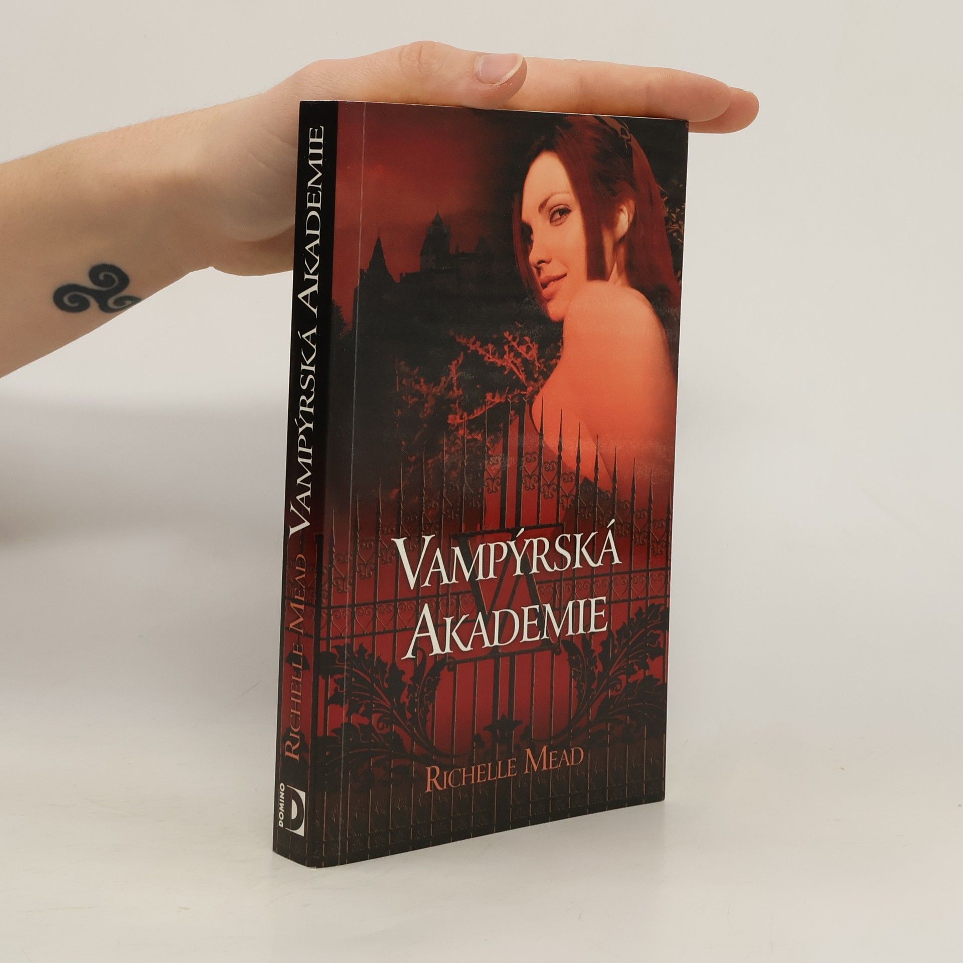 Richelle Mead Vampýrská akademie