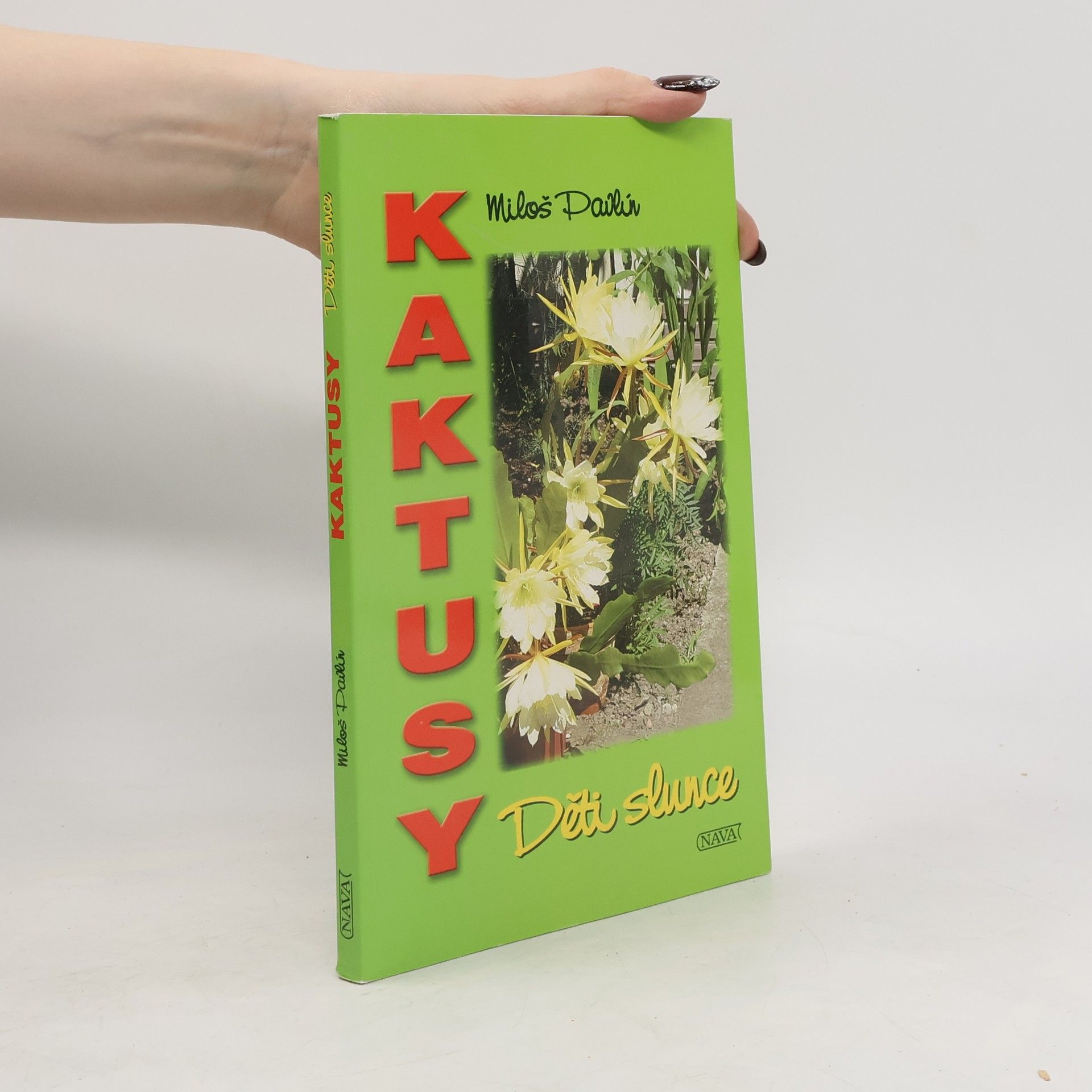 Kaktusy - děti slunce