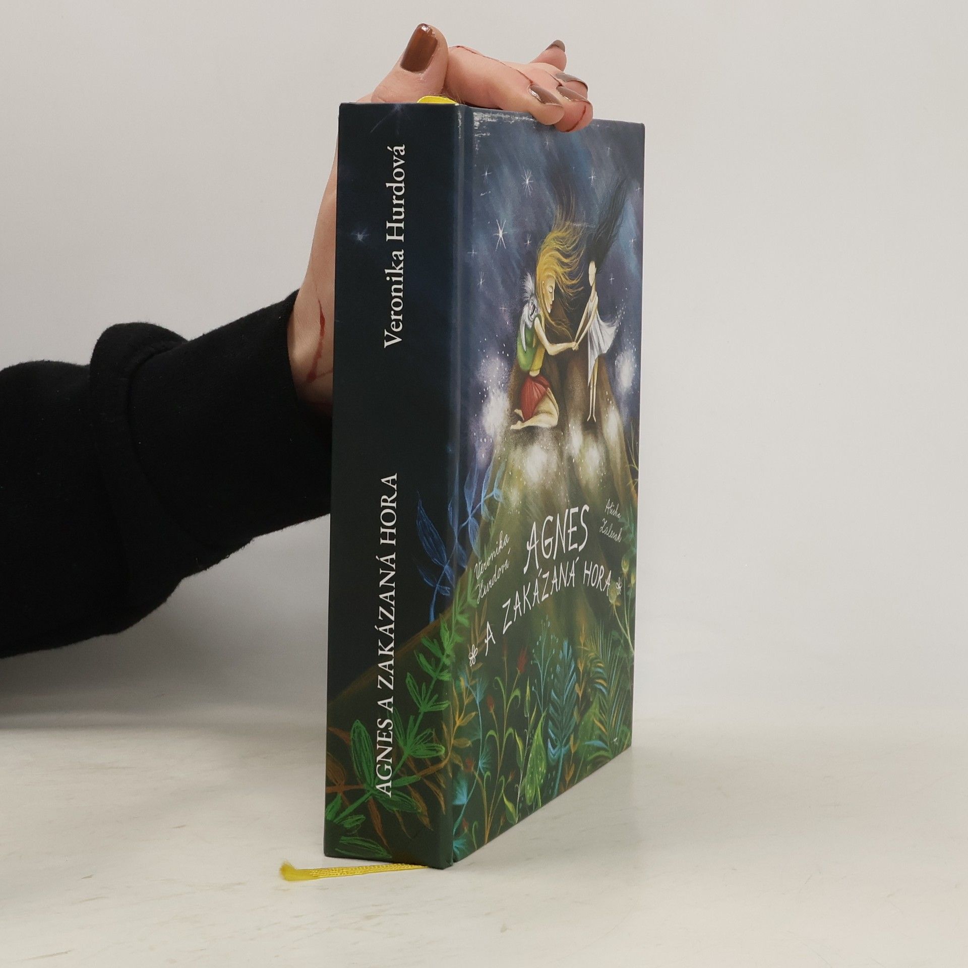 Veronika Hurdová Agnes a Zakázaná hora