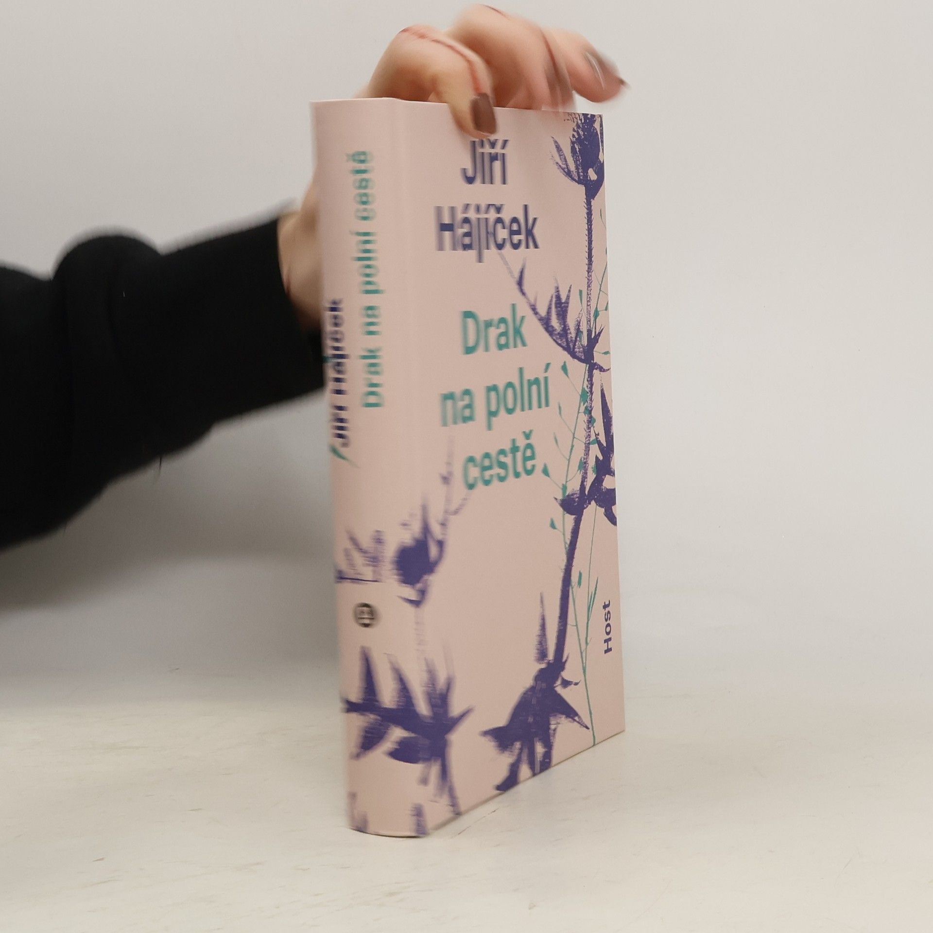 Jiří Hájíček Drak na polní cestě