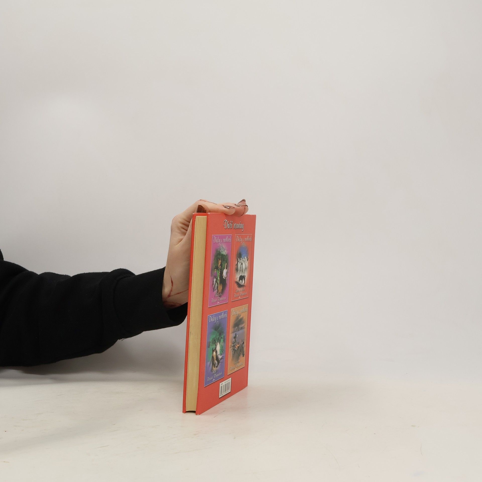 Bonnie Bryant Dívky v sedlech. 2, Láska ke koním