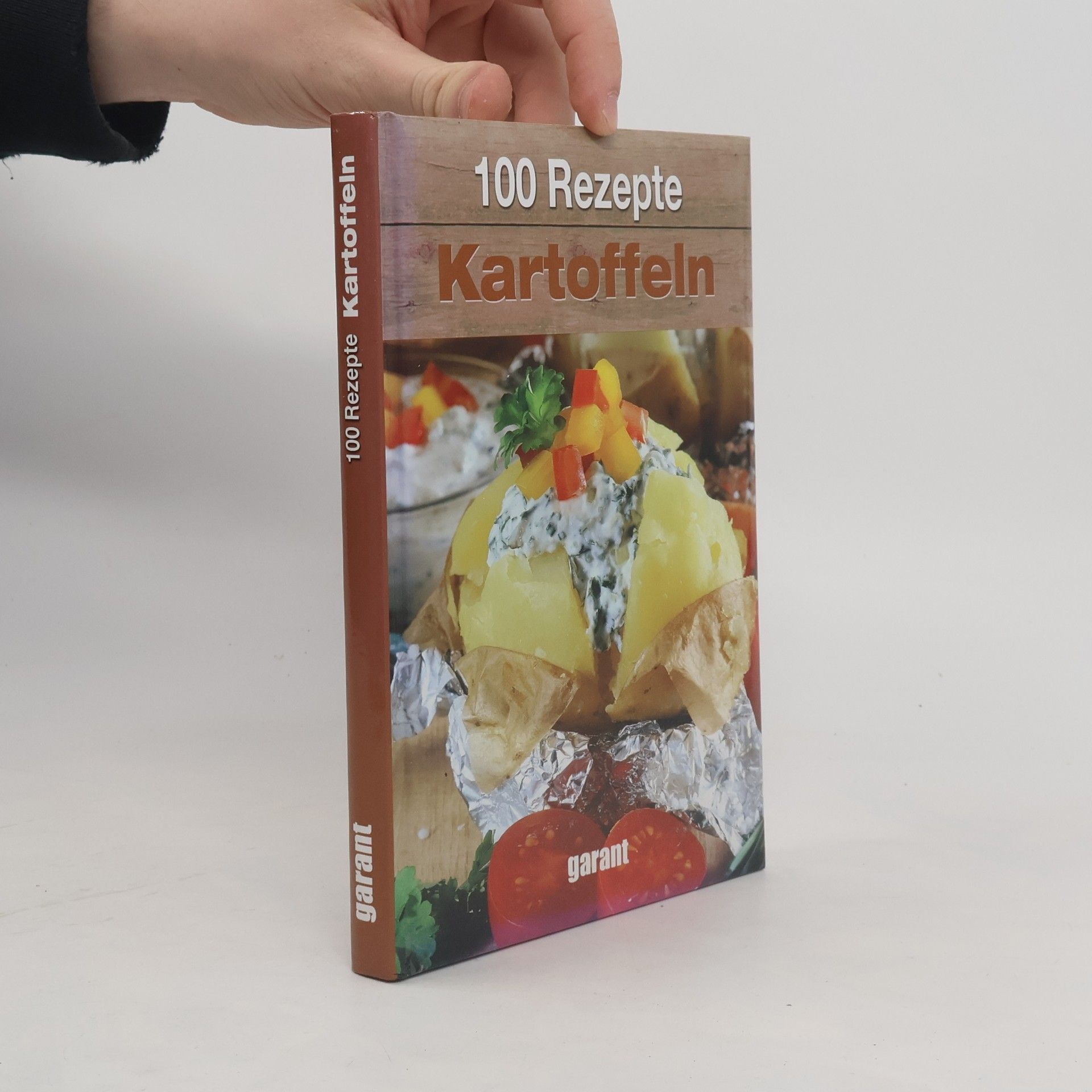 Kolektiv autorů 100 Rezepte Kartoffeln
