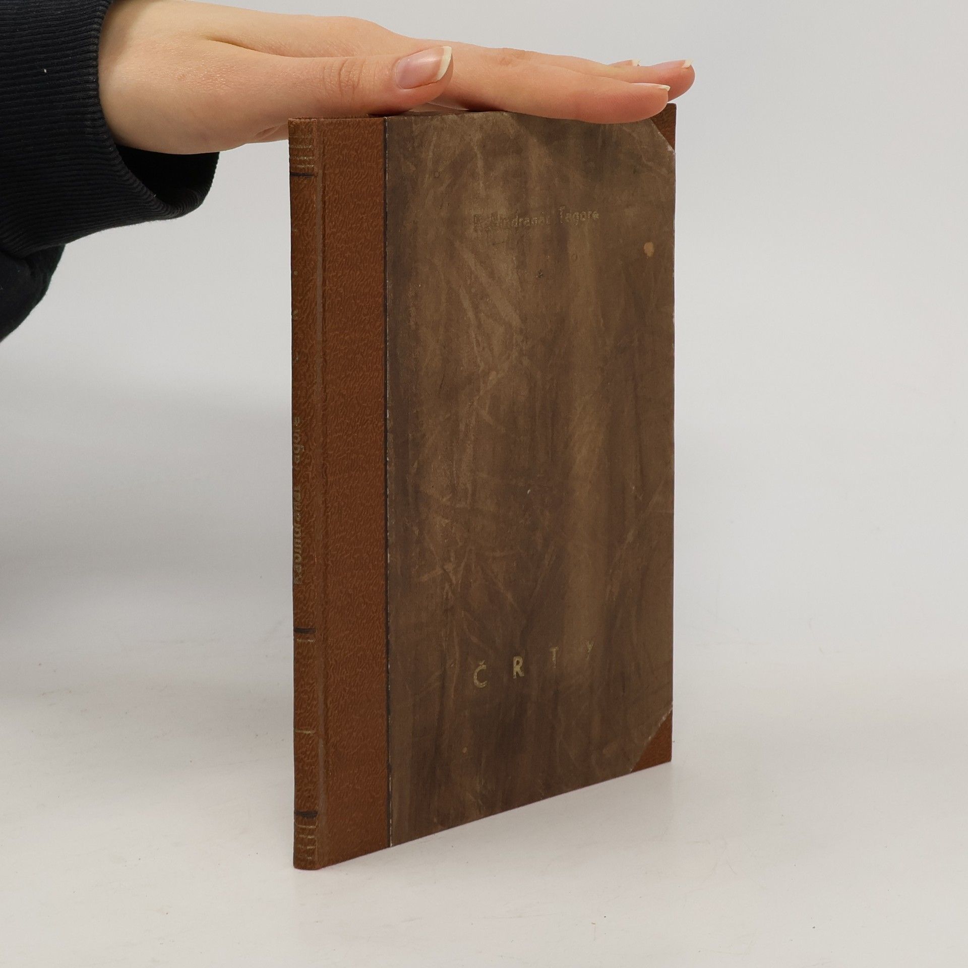 Rabindranath Tagore Črty