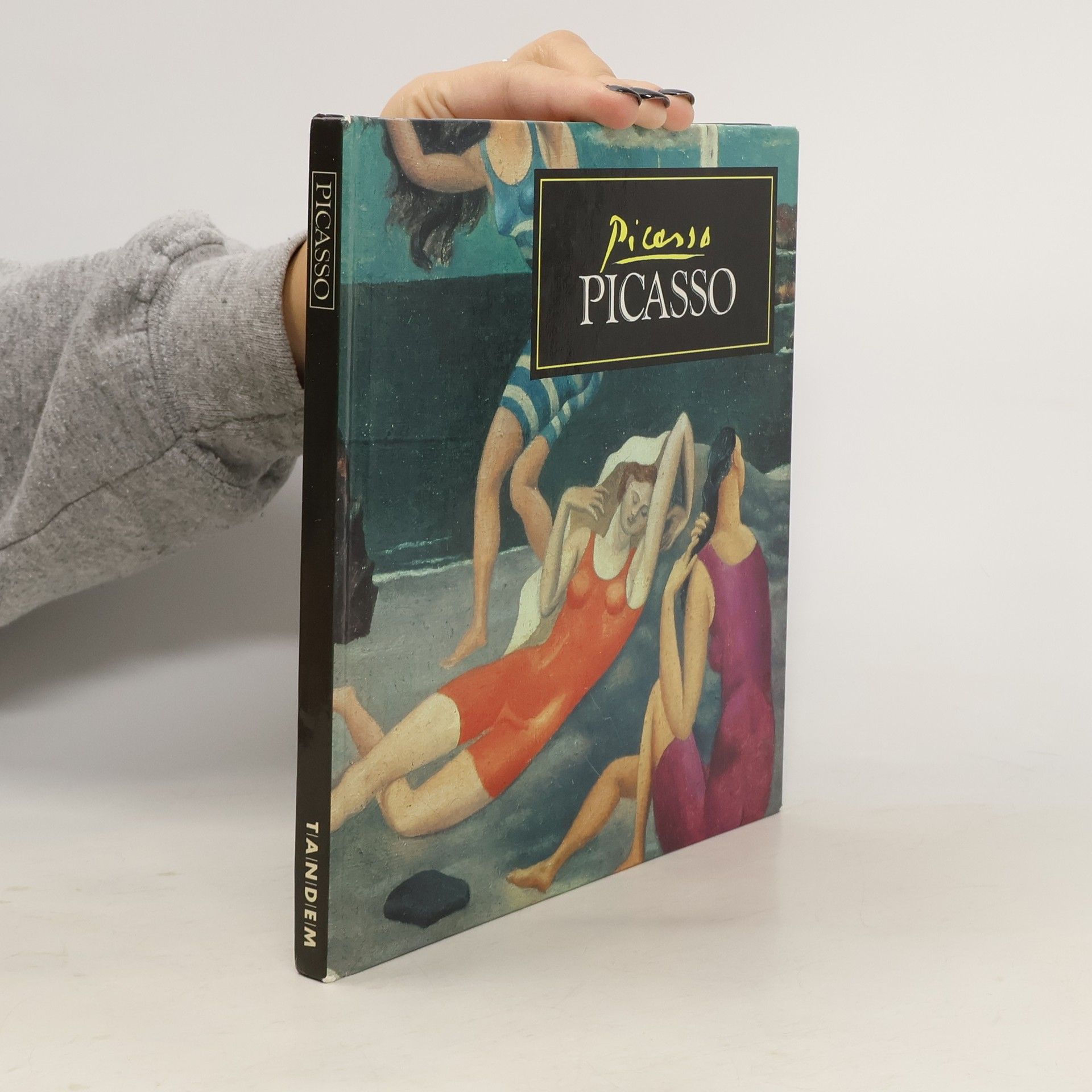 Collectif d'auteurs Picasso