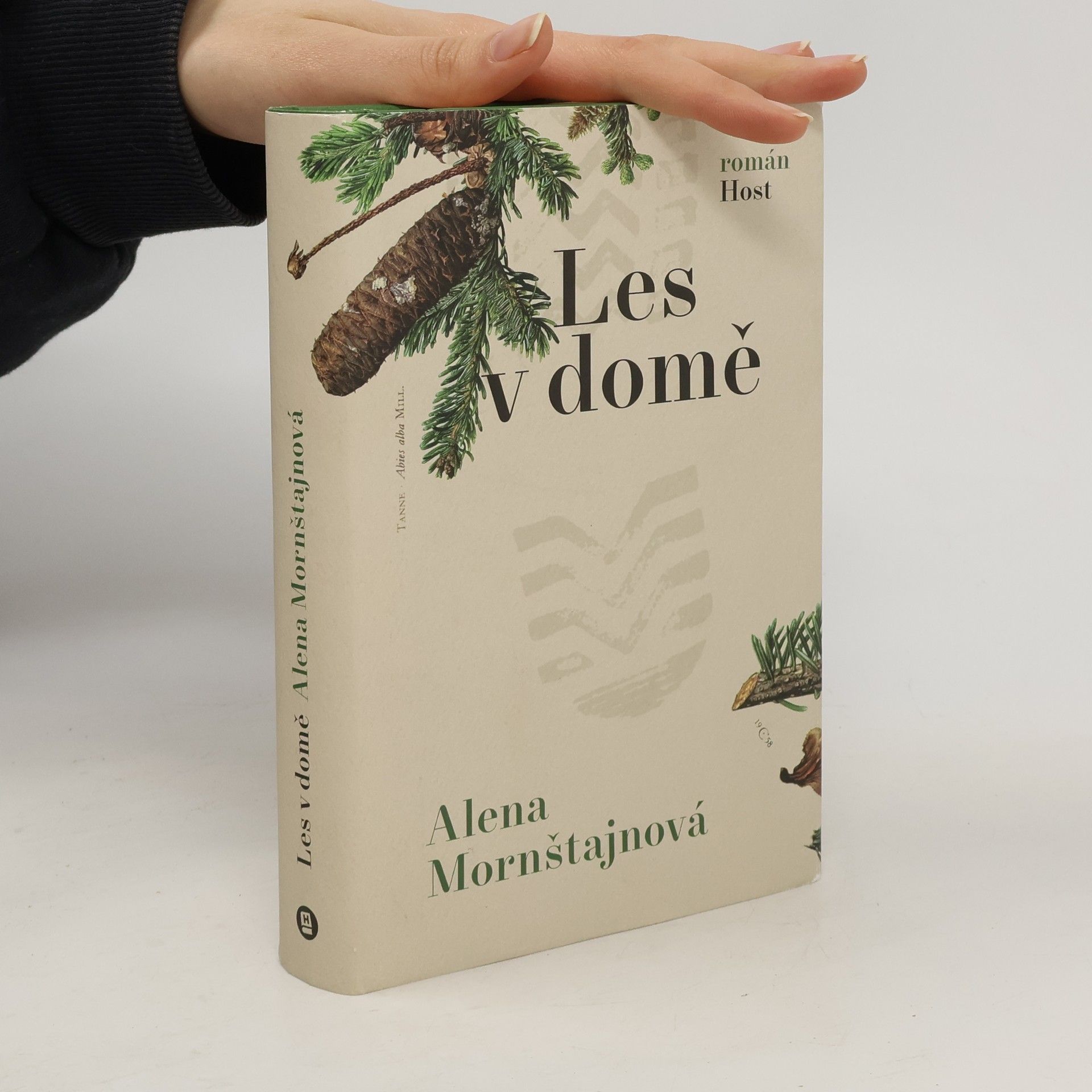 Alena Mornštajnová Les v domě