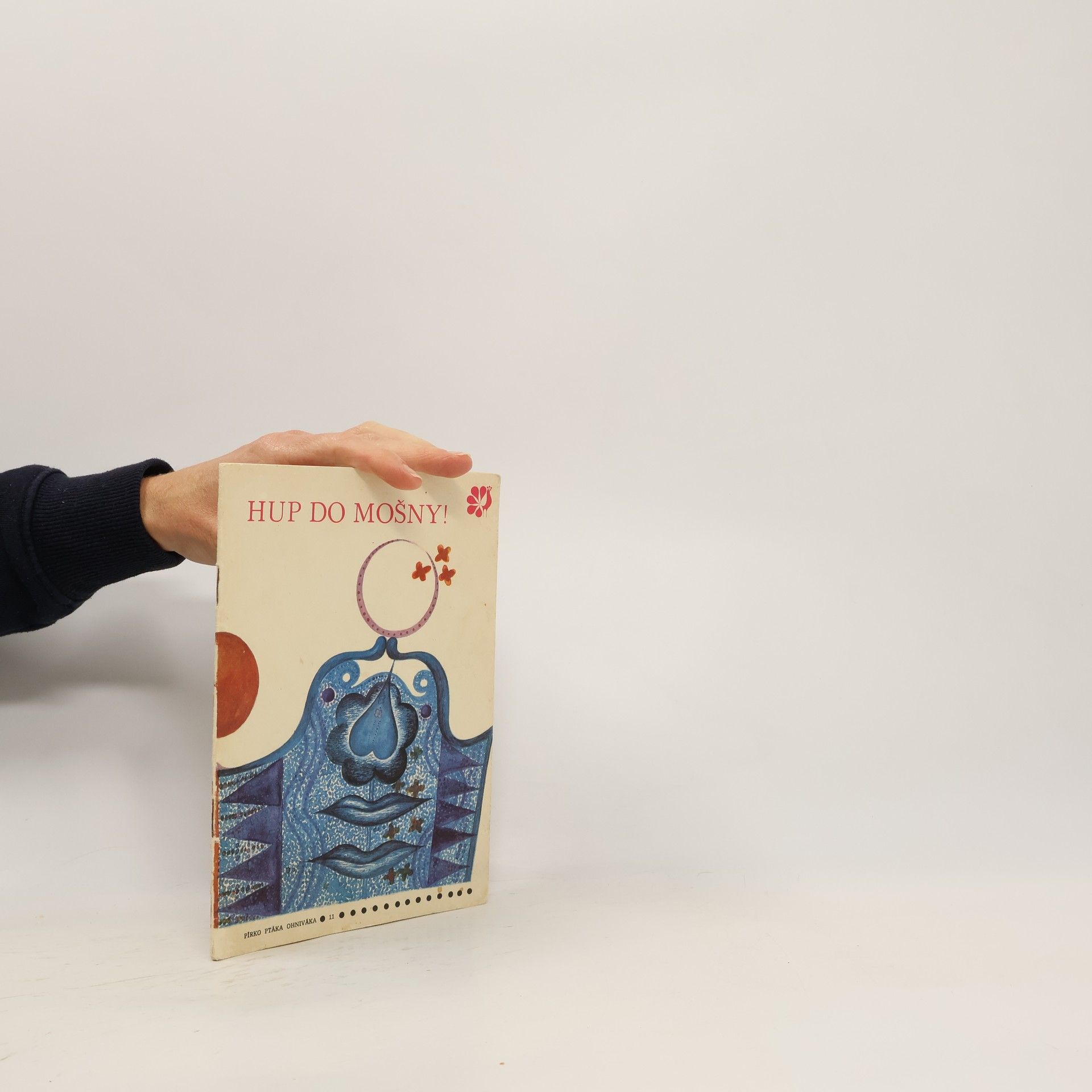 Autorenkollektiv Hup do mošny!