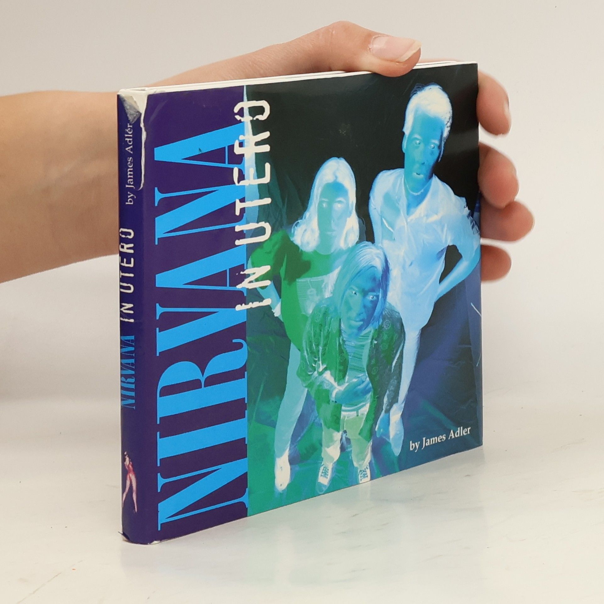 James Adler Nirvana : in utero