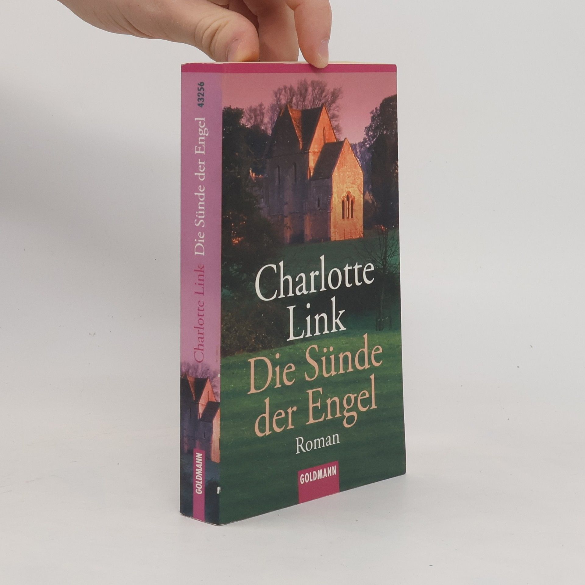 Charlotte Link Die Sünde der Engel