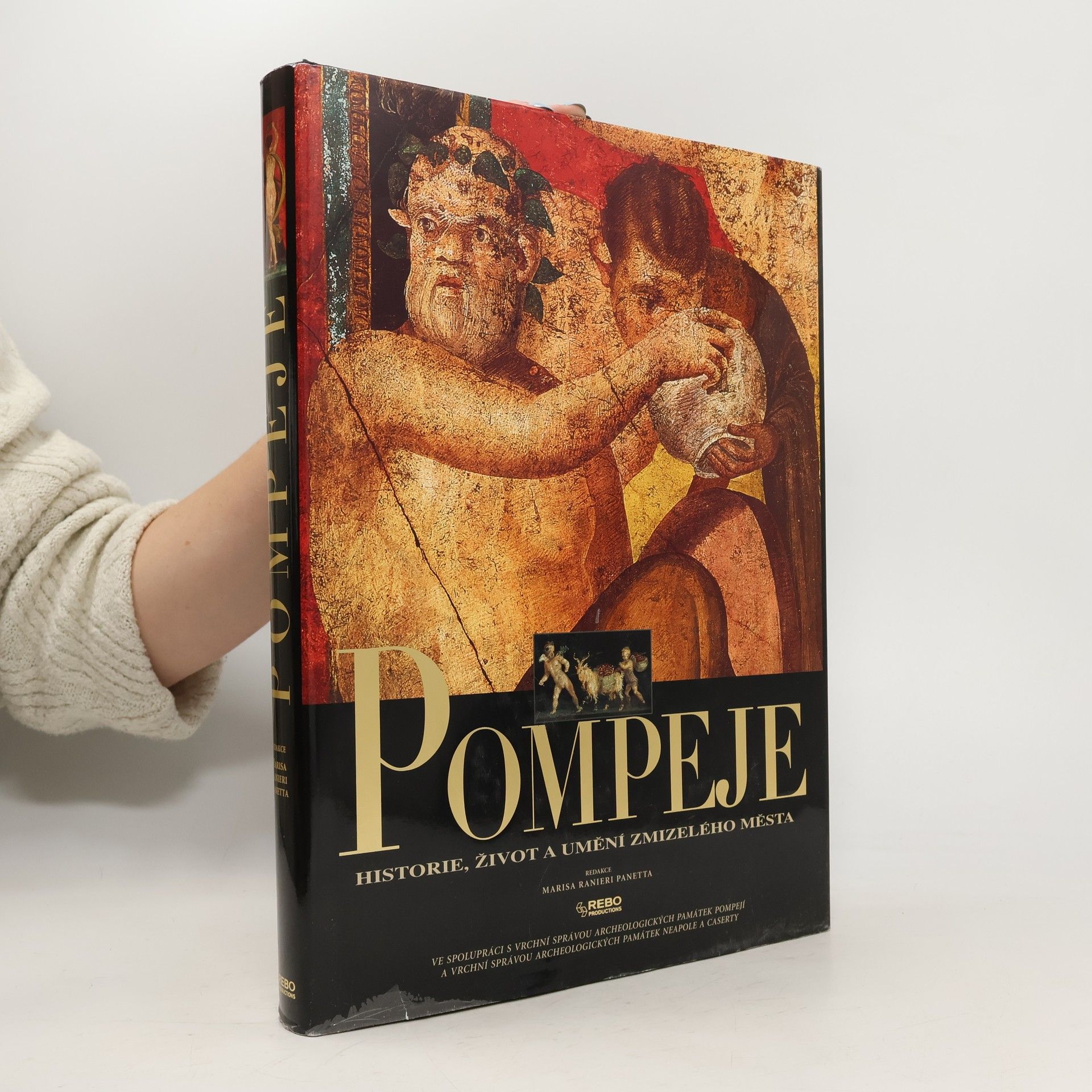 Marisa Ranieri Panetta Pompeje: Historie, život a umění zmizelého města