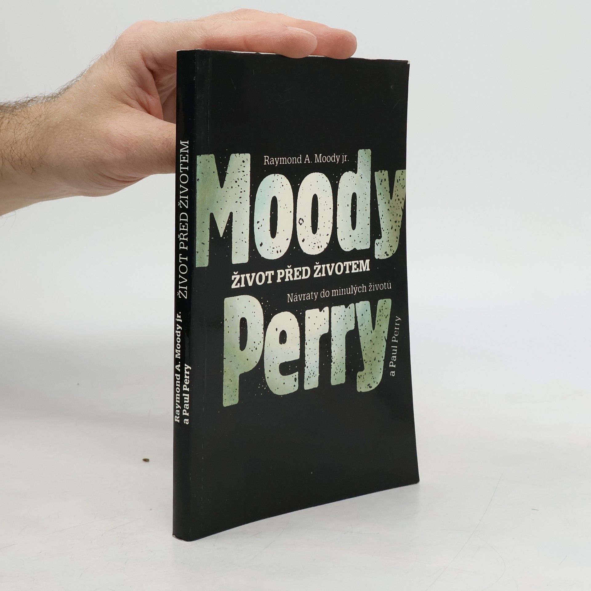 Raymond Moody Život před životem: Návraty do minulých životů