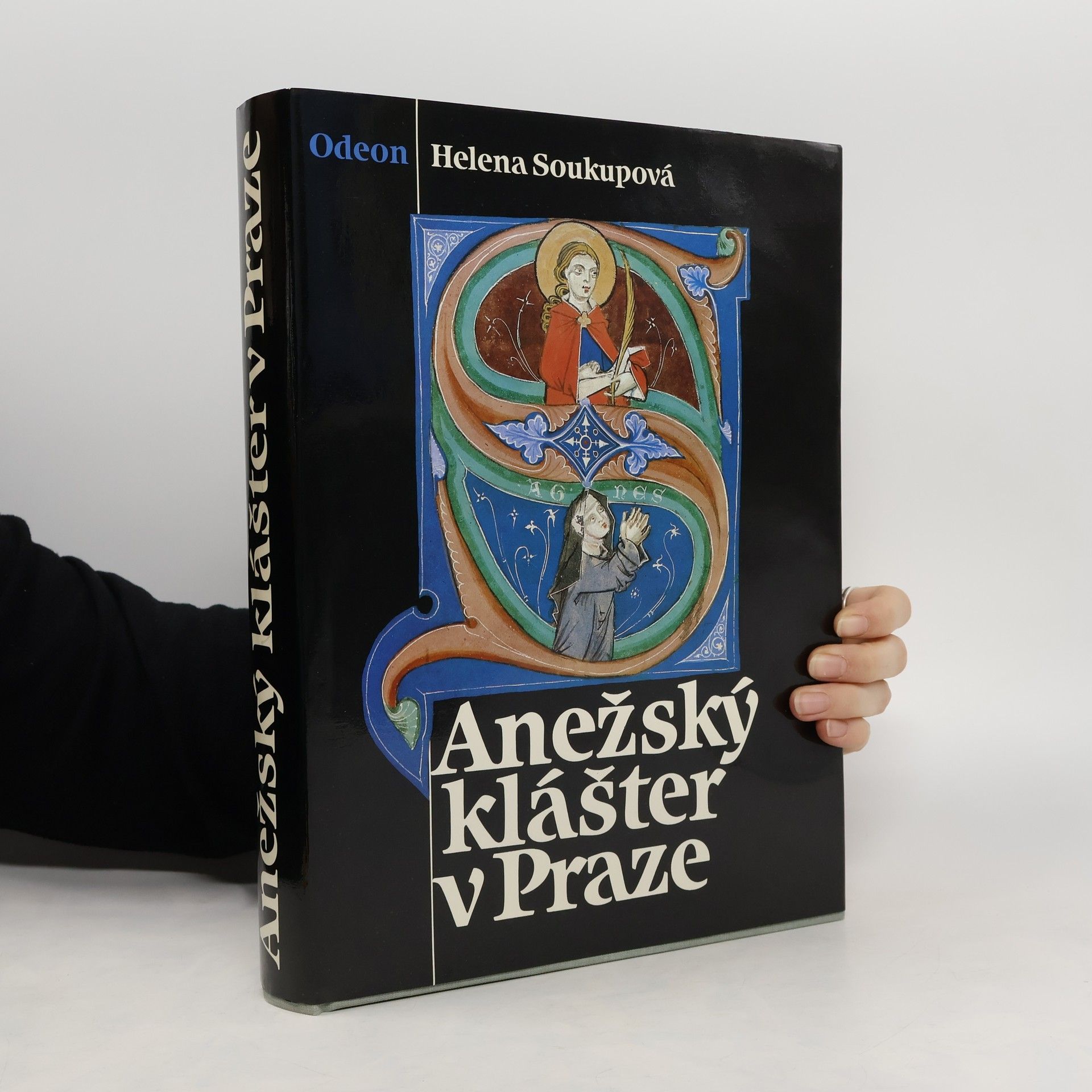 Anežský klášter v Praze