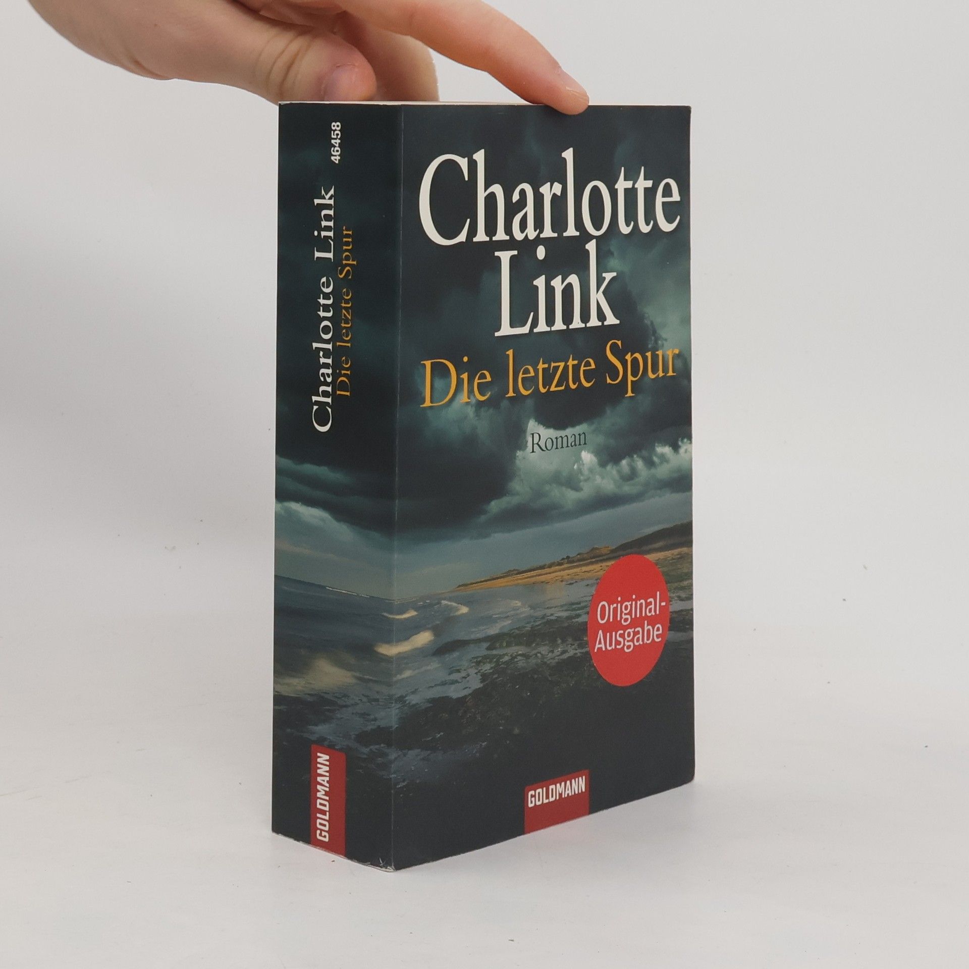 Charlotte Link Die letzte Spur