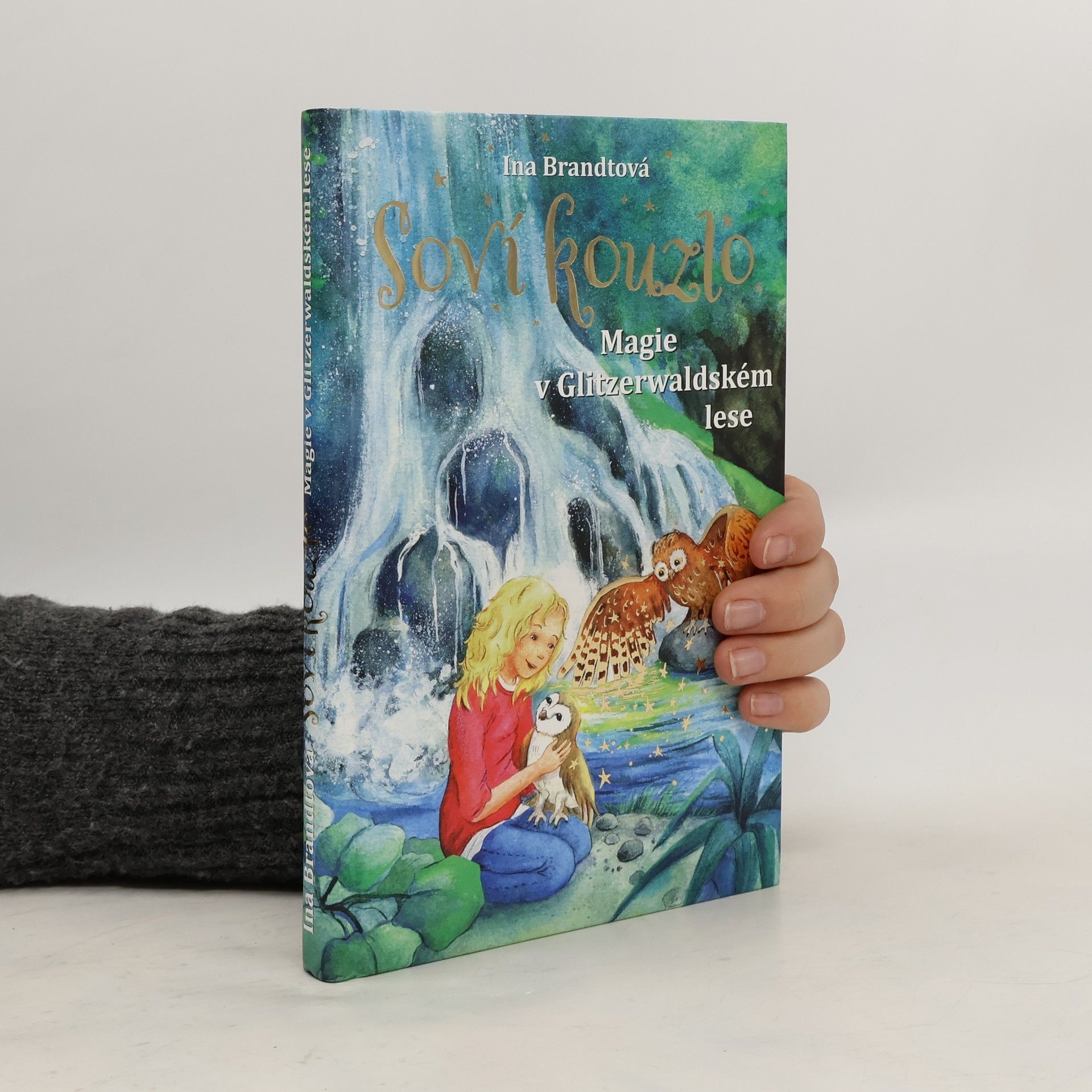 Ina Brandt Soví kouzlo. Magie v Glitzerwaldském lese