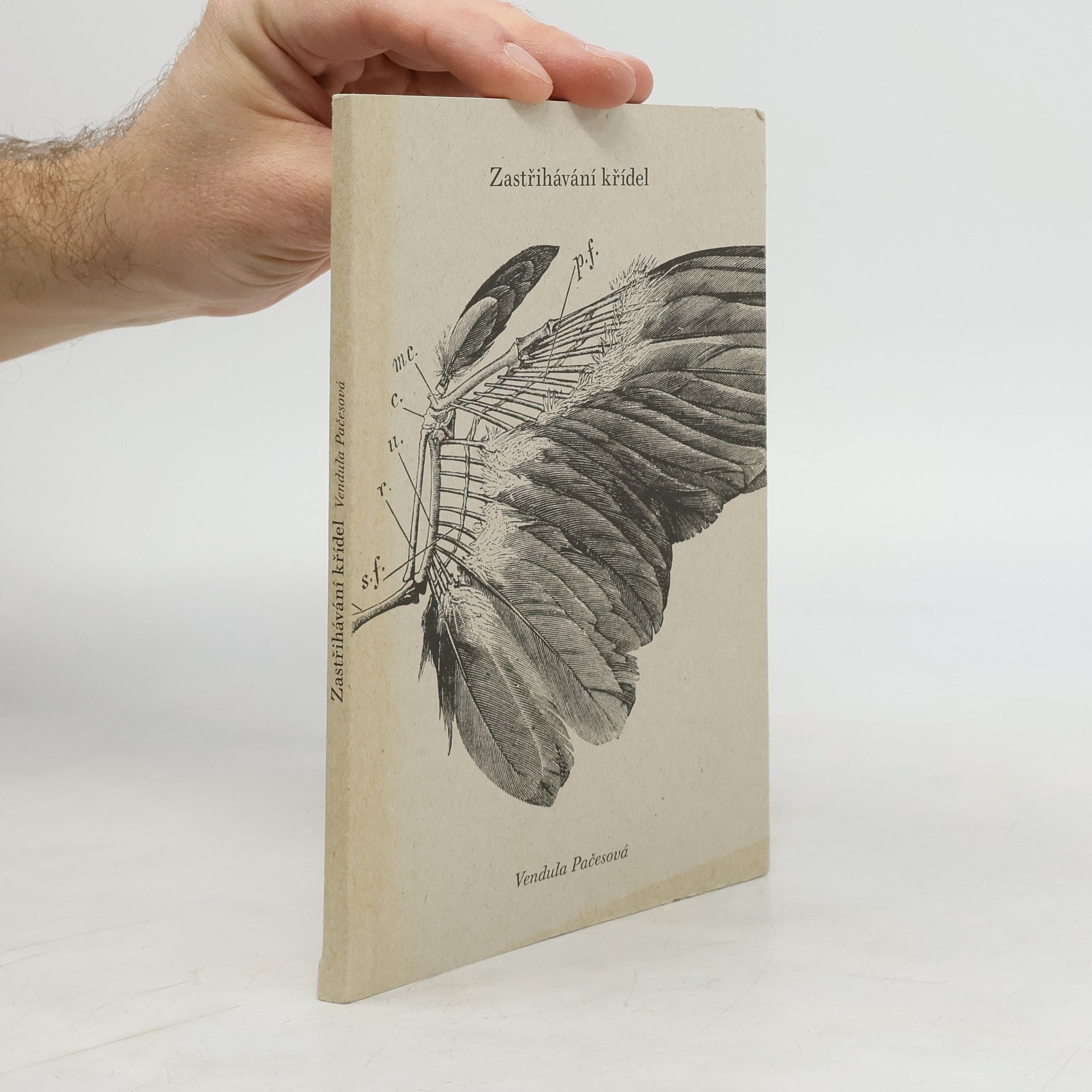 Václava Pačesová Zastřihávání křídel
