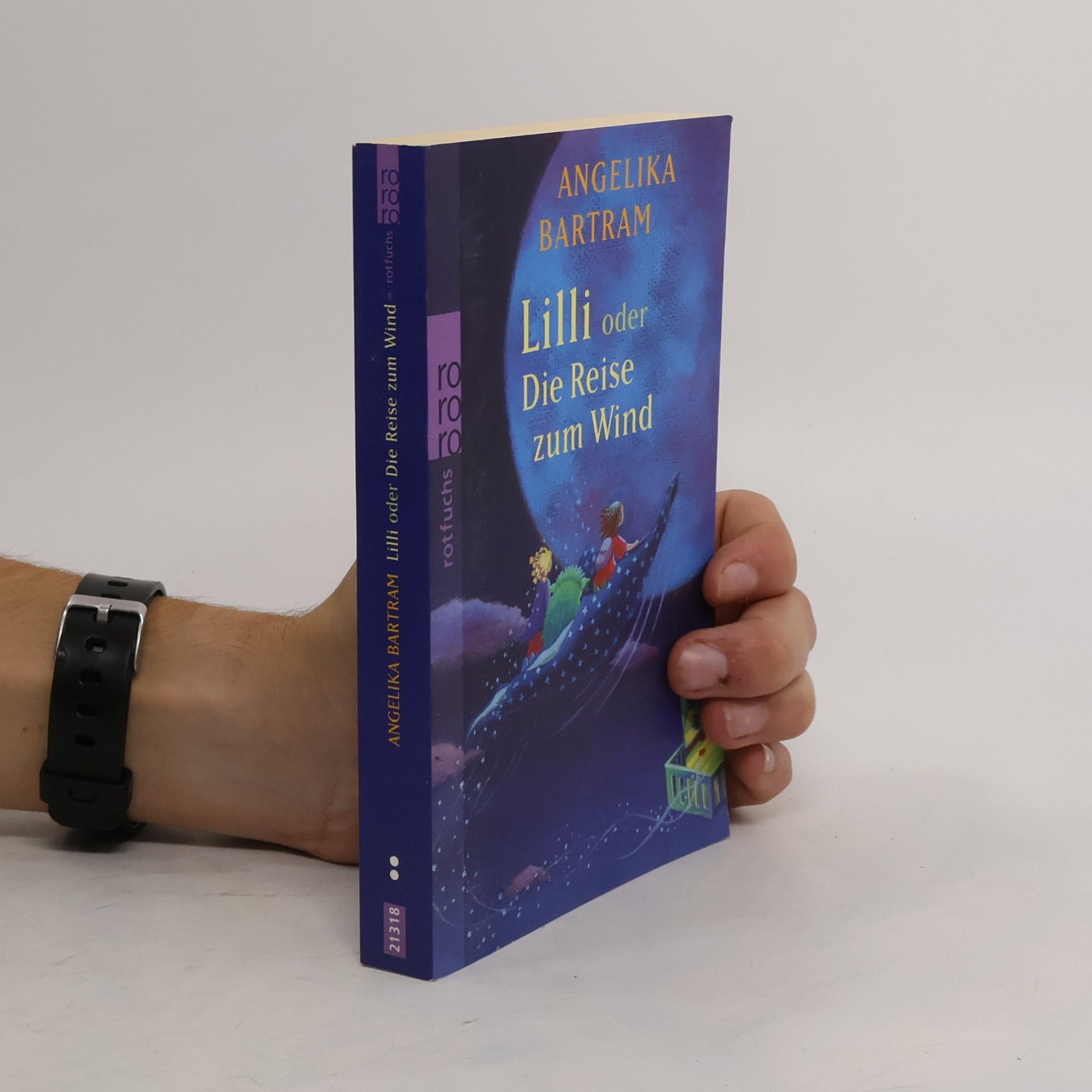 Angelika Bartram Lilli oder Die Reise zum Wind