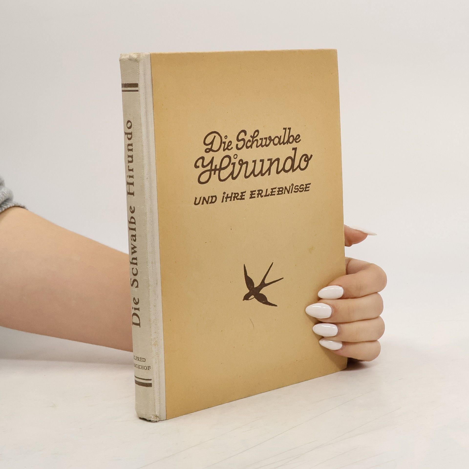 Die Schwalbe Hirundo und ihre Erlebnisse