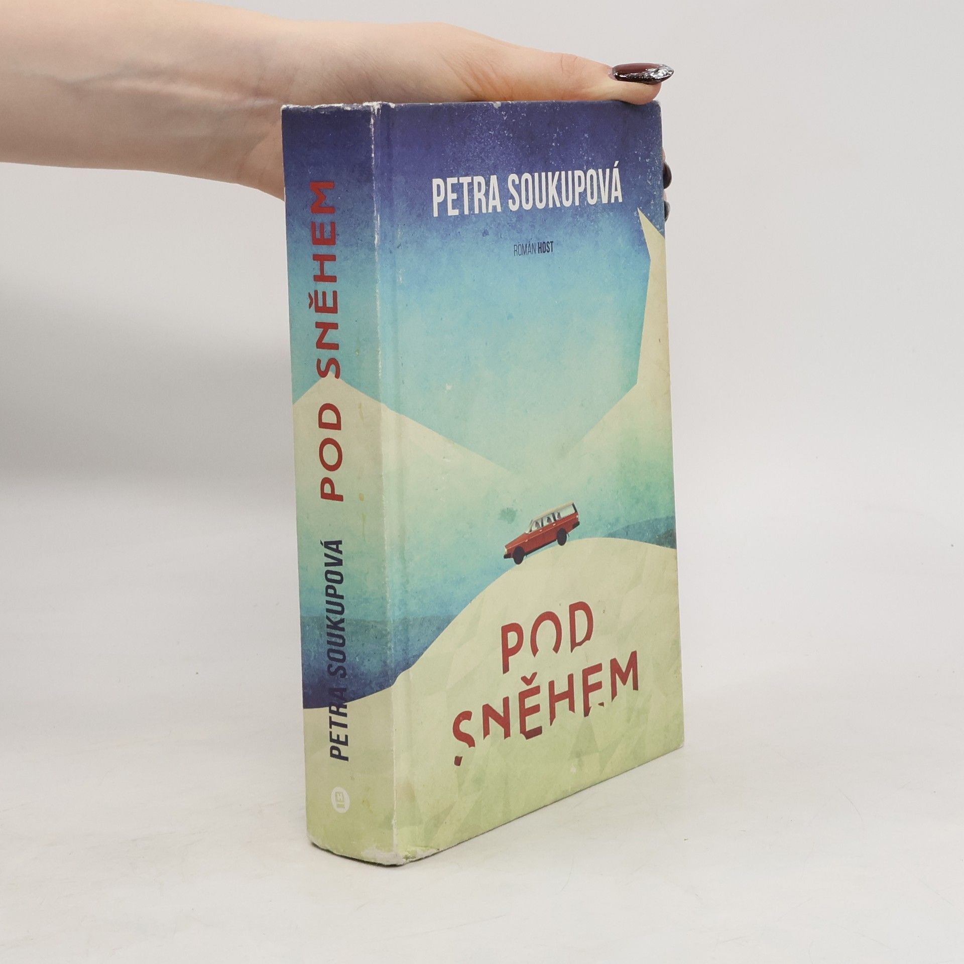 Petra Soukupová Pod sněhem