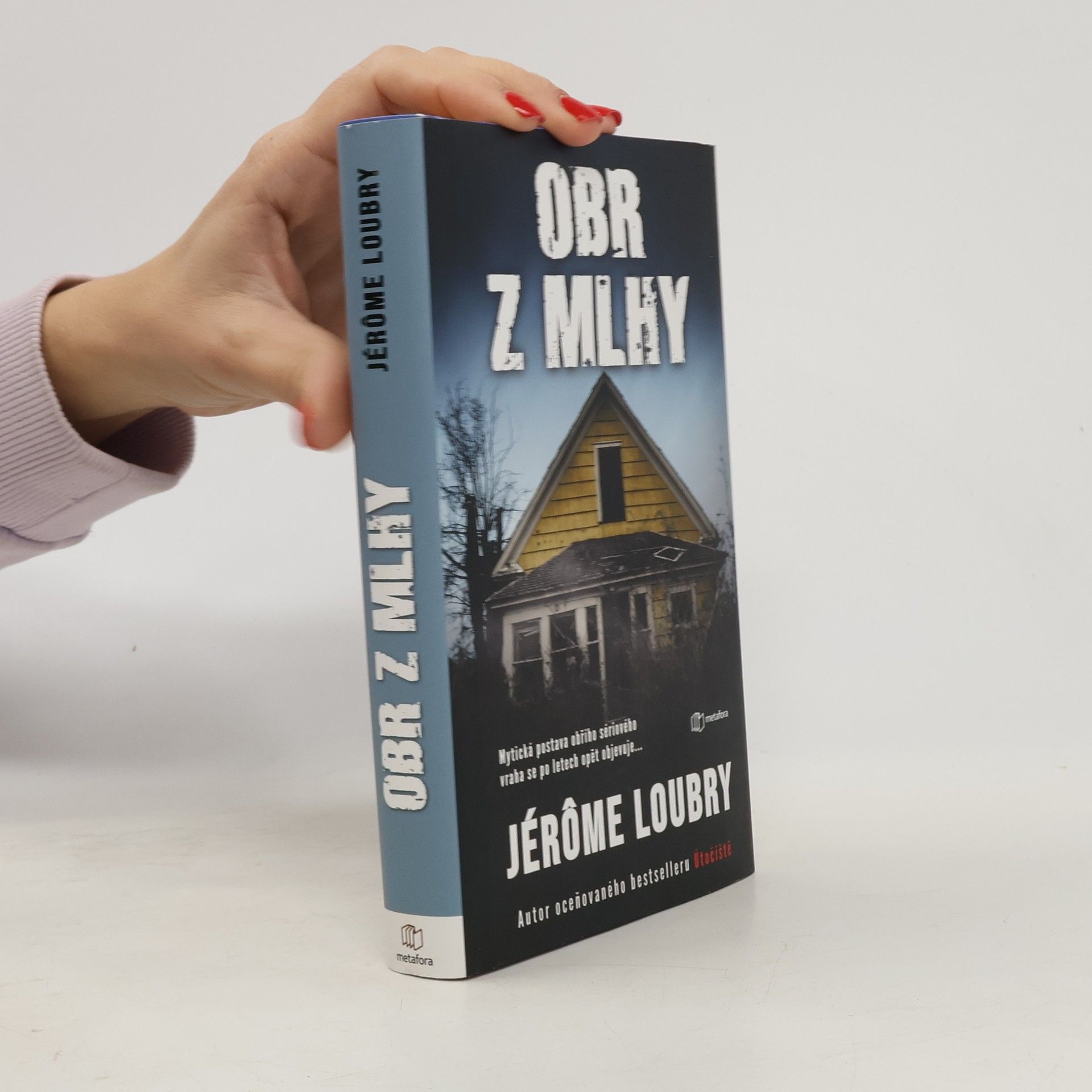 Jérôme Loubry Obr z mlhy