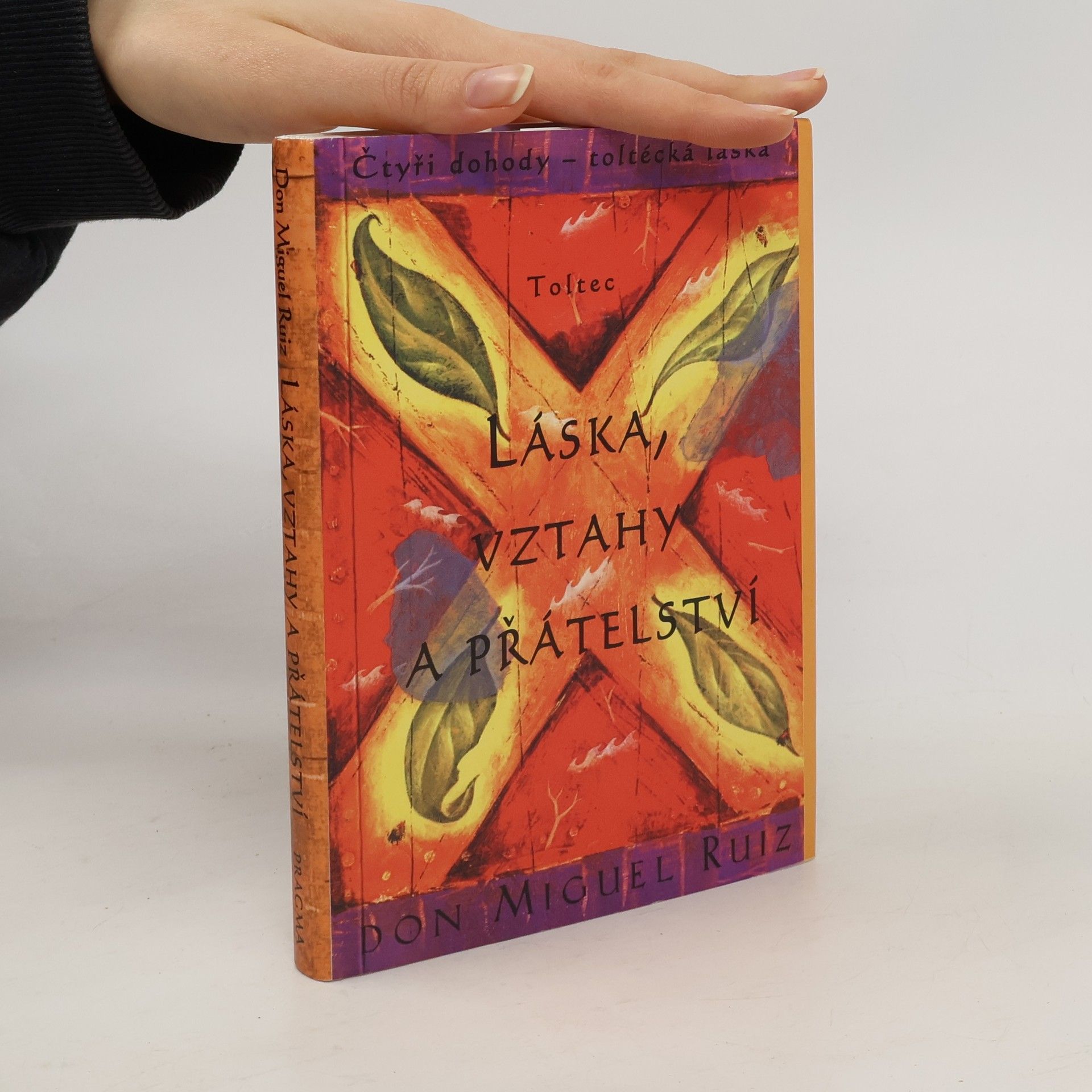 Don Miguel Ruiz Láska, vztahy a přátelství