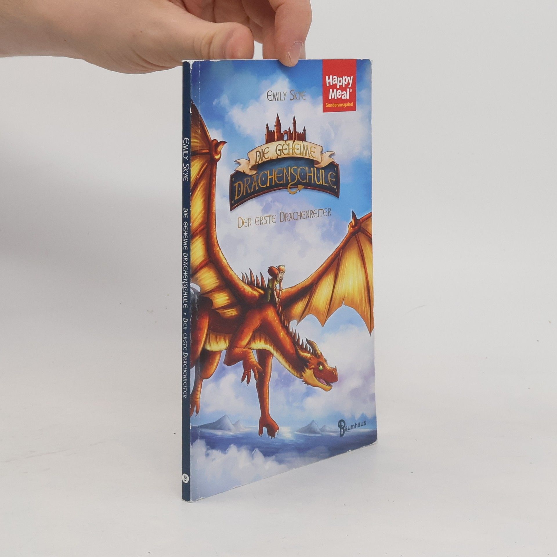 Emily Skye Die geheime Drachenschule. Der erste Drachenreiter