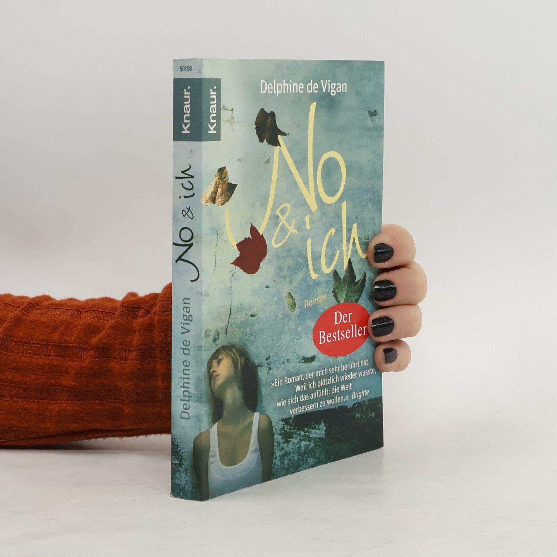 Delphine de Vigan No & ich