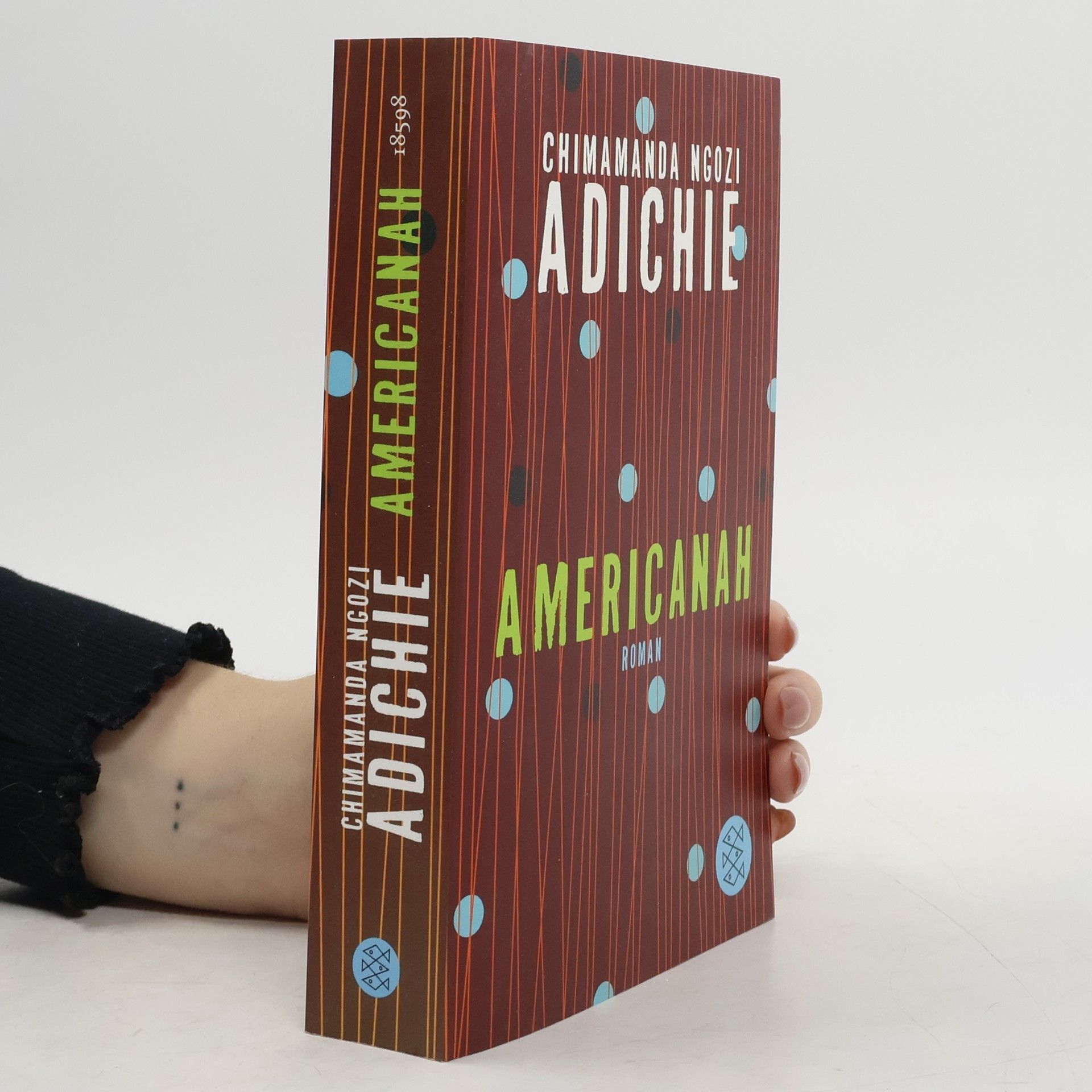 Chimamanda Ngozi Adichie Americanah