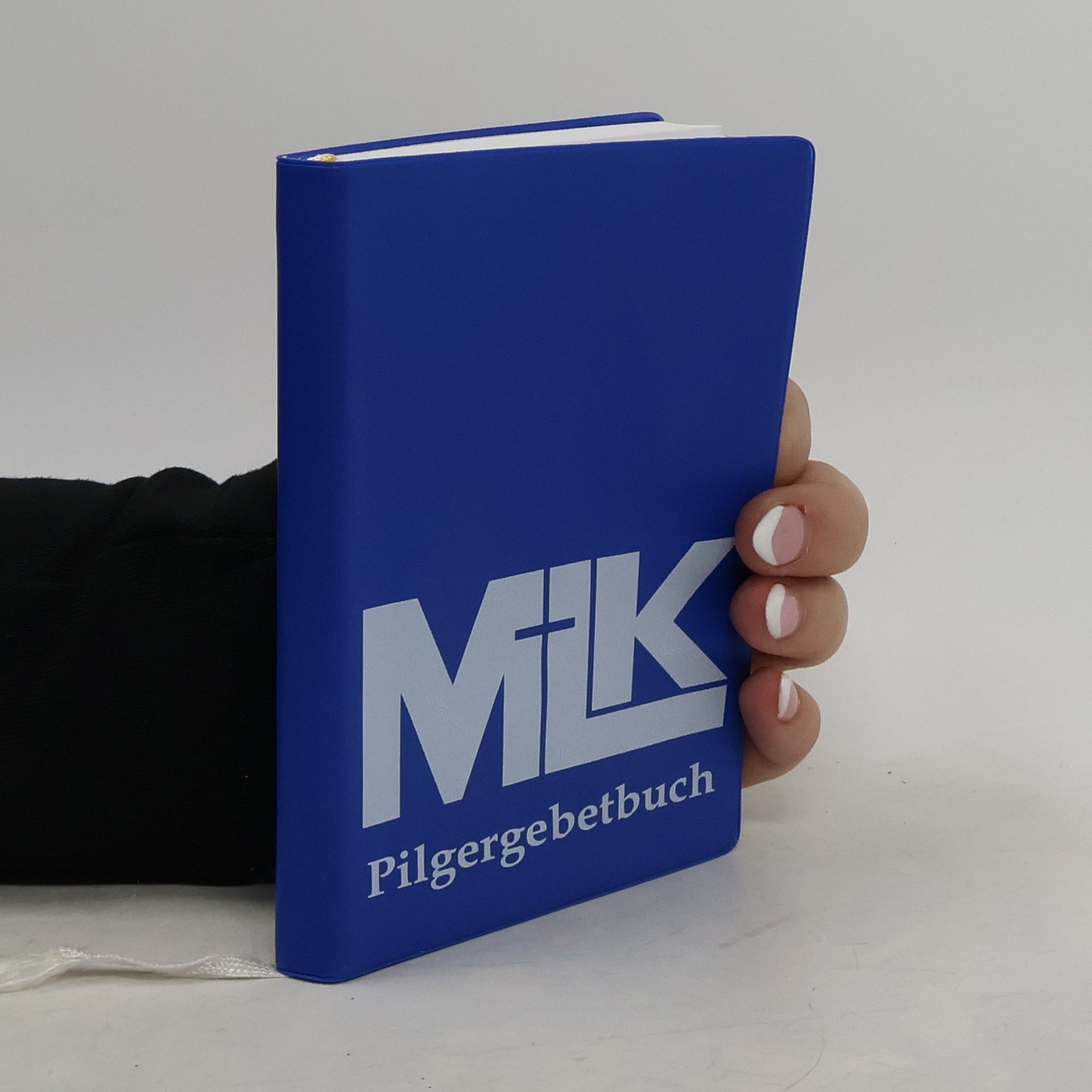 Autorenkollektiv Pilgergebetbuch