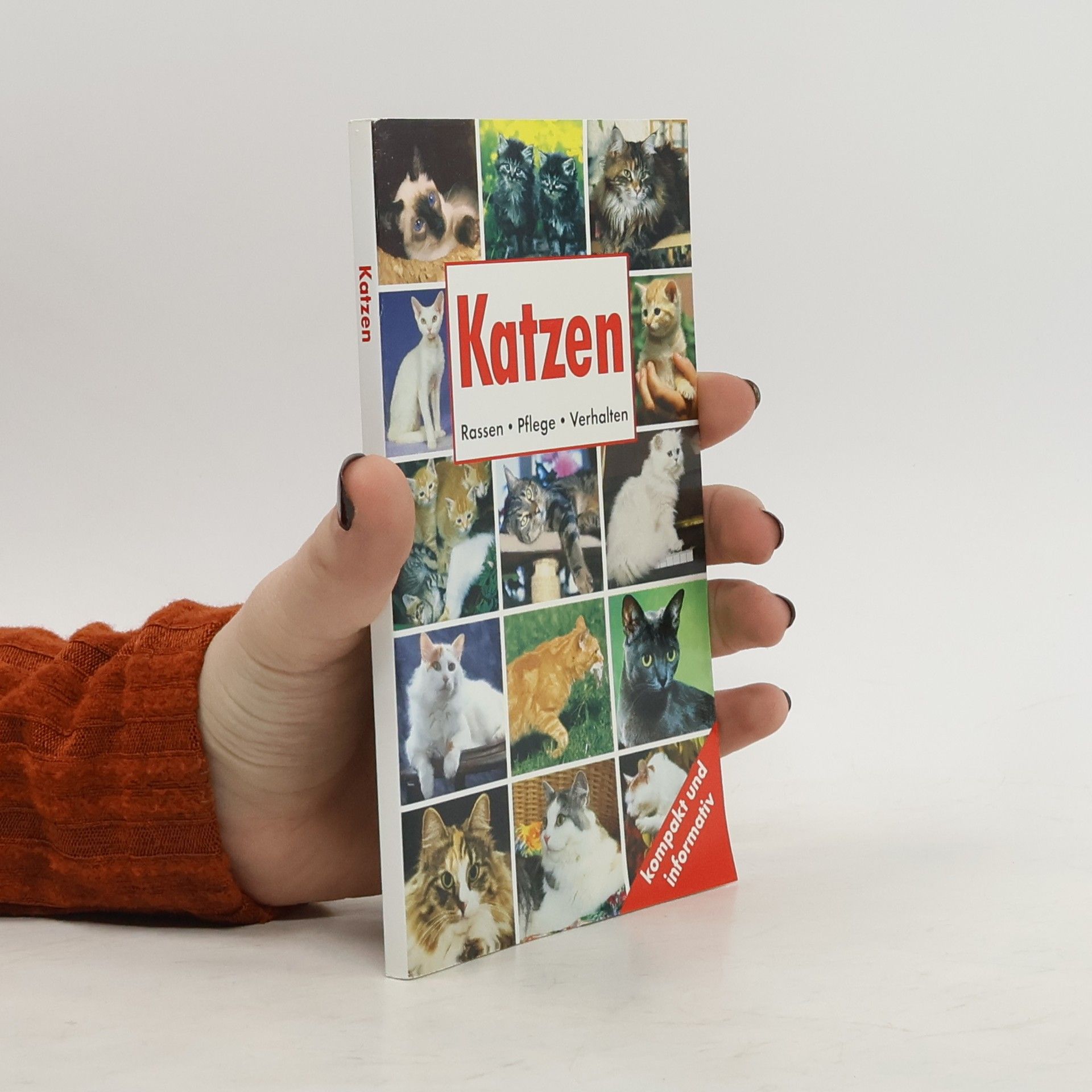 Autorenkollektiv Katzen