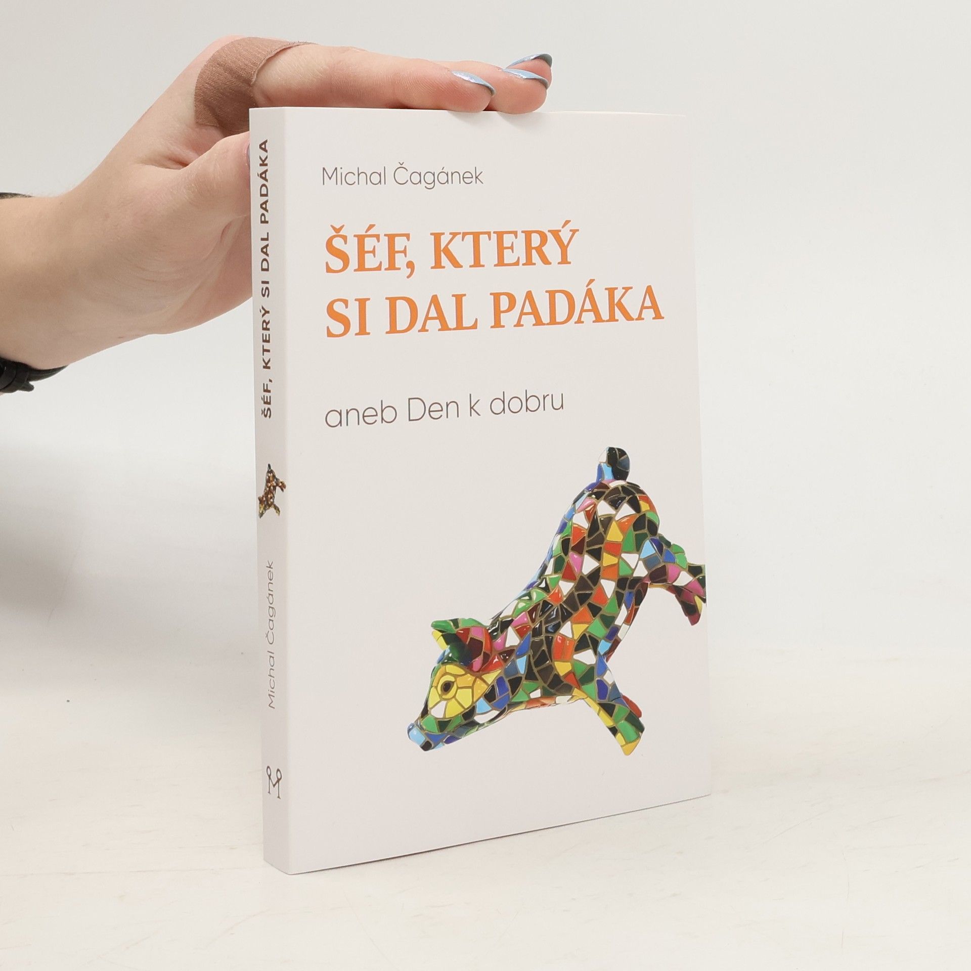 Michal Čagánek Šéf, který si dal padáka