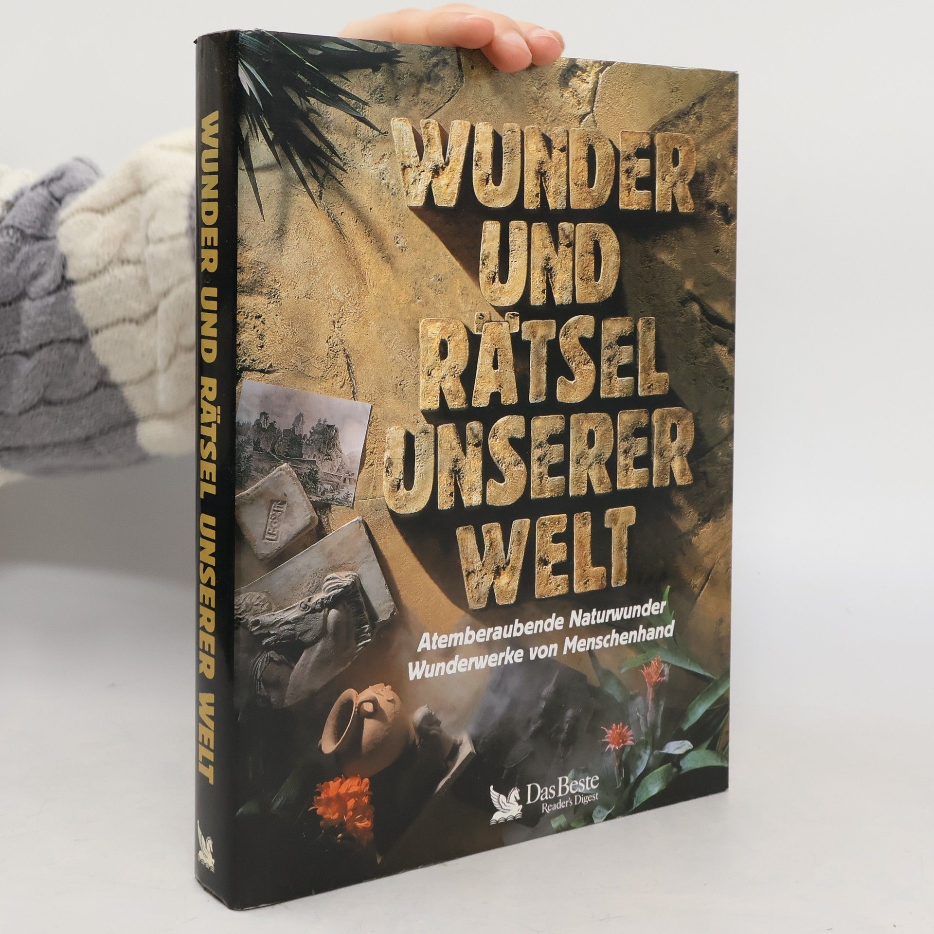 Martin Lehr Wunder und Rätsel unserer Welt