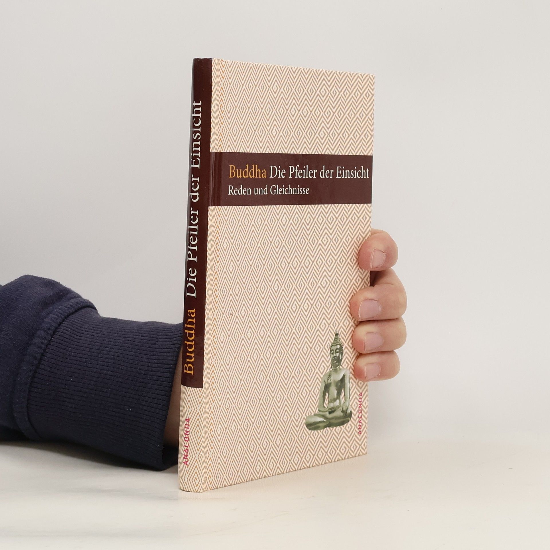 Gautama Buddha Die Pfeiler der Einsicht. Reden und Gleichnisse