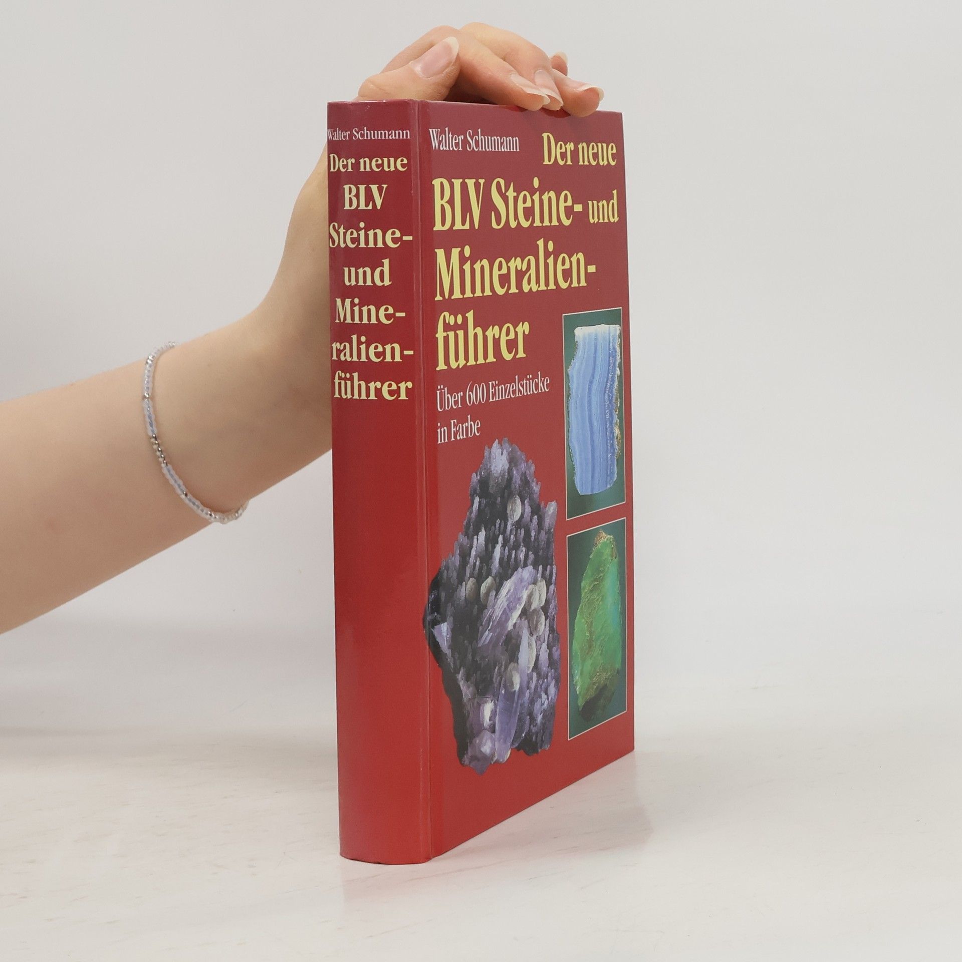 Walter Schumann Der neue BLV Steine- und Mineralienführer
