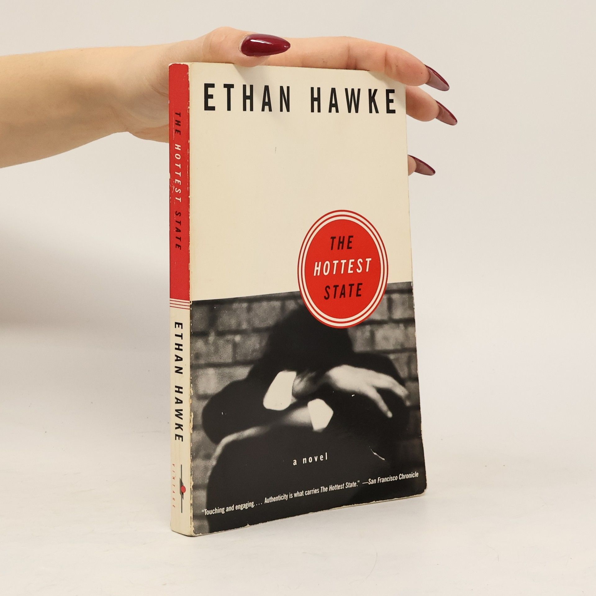 Ethan Hawke The Hottest State