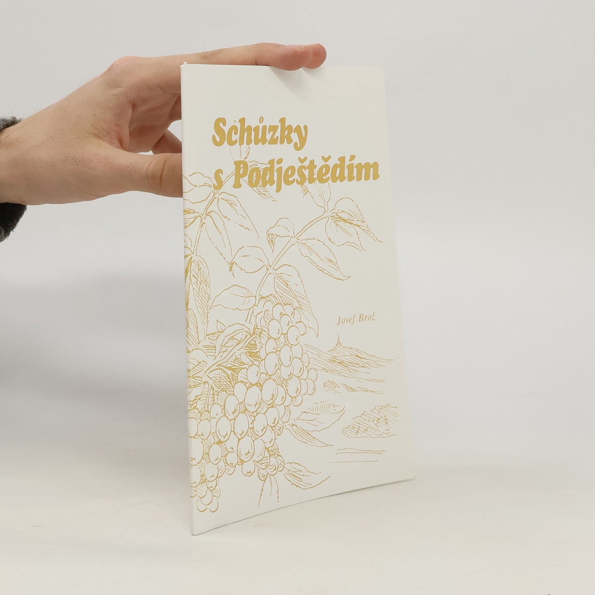 Josef Brož Schůzky s Podještědím