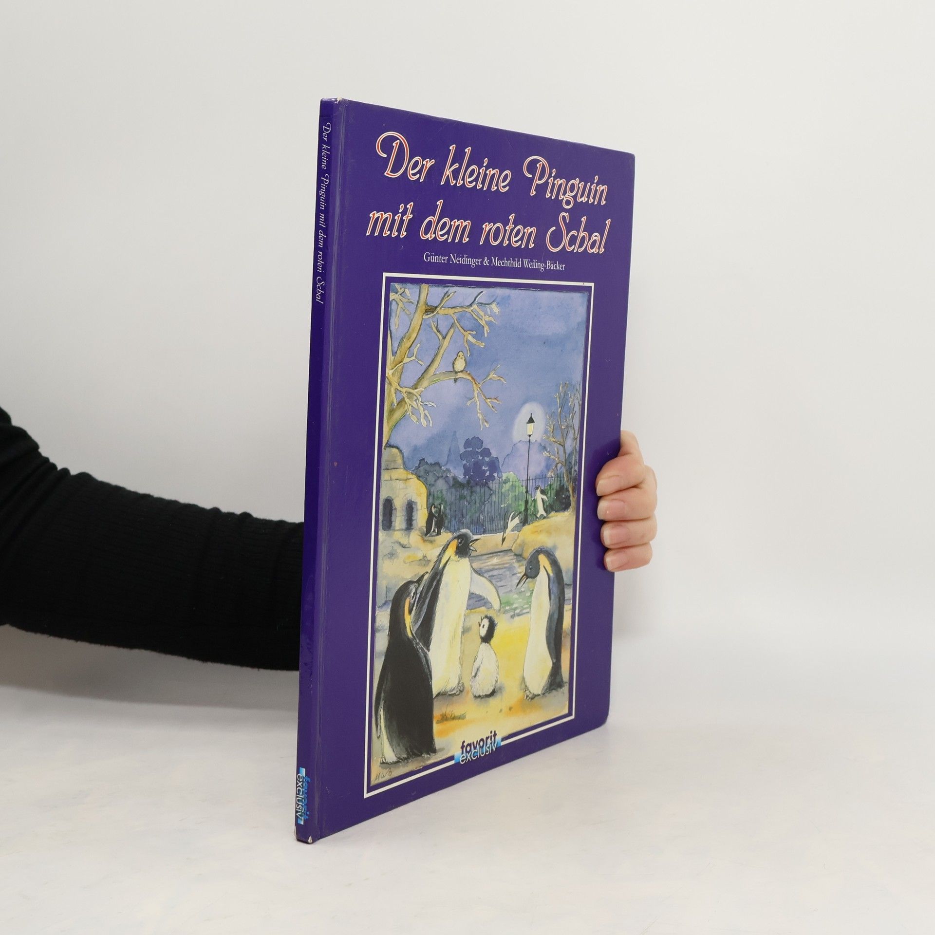 Günter Neidinger Der kleine Pinguin mit dem roten Schal