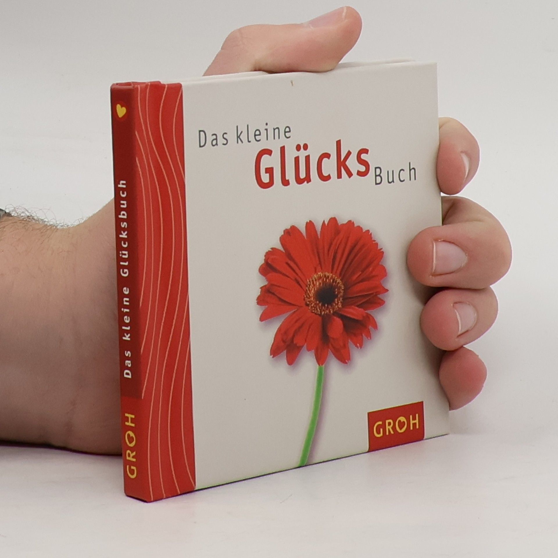 Das kleine Glücks-Buch
